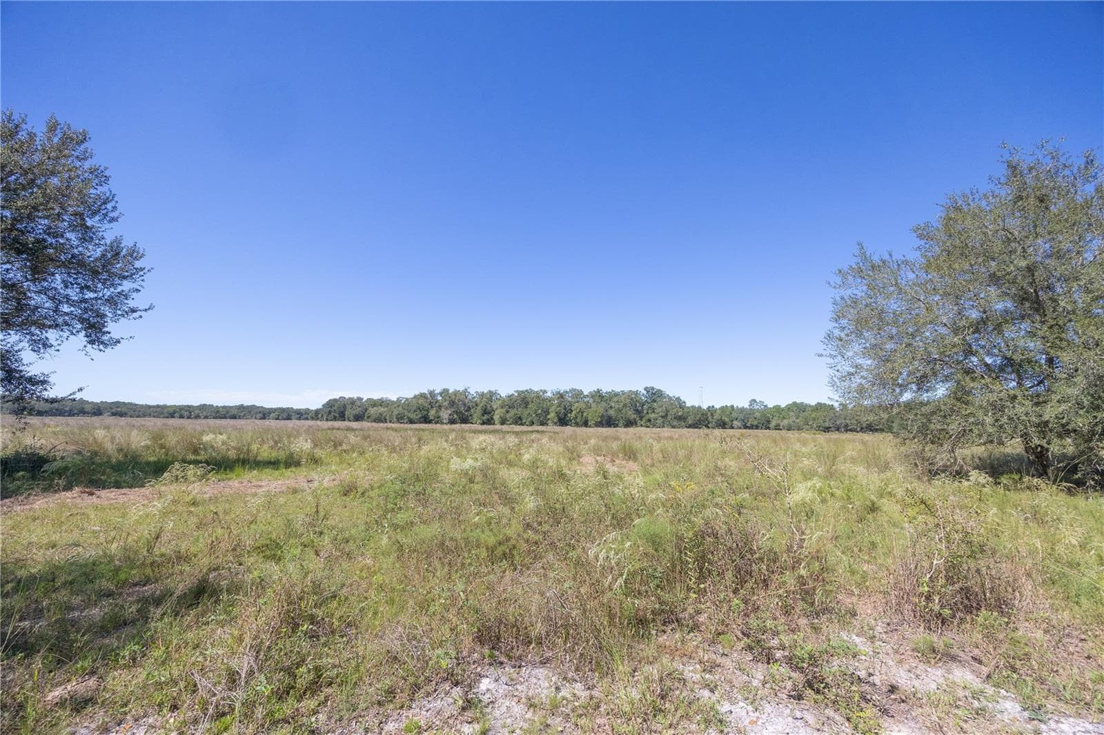 Land at TBD CR 673, WEBSTER, photo 56 of 69