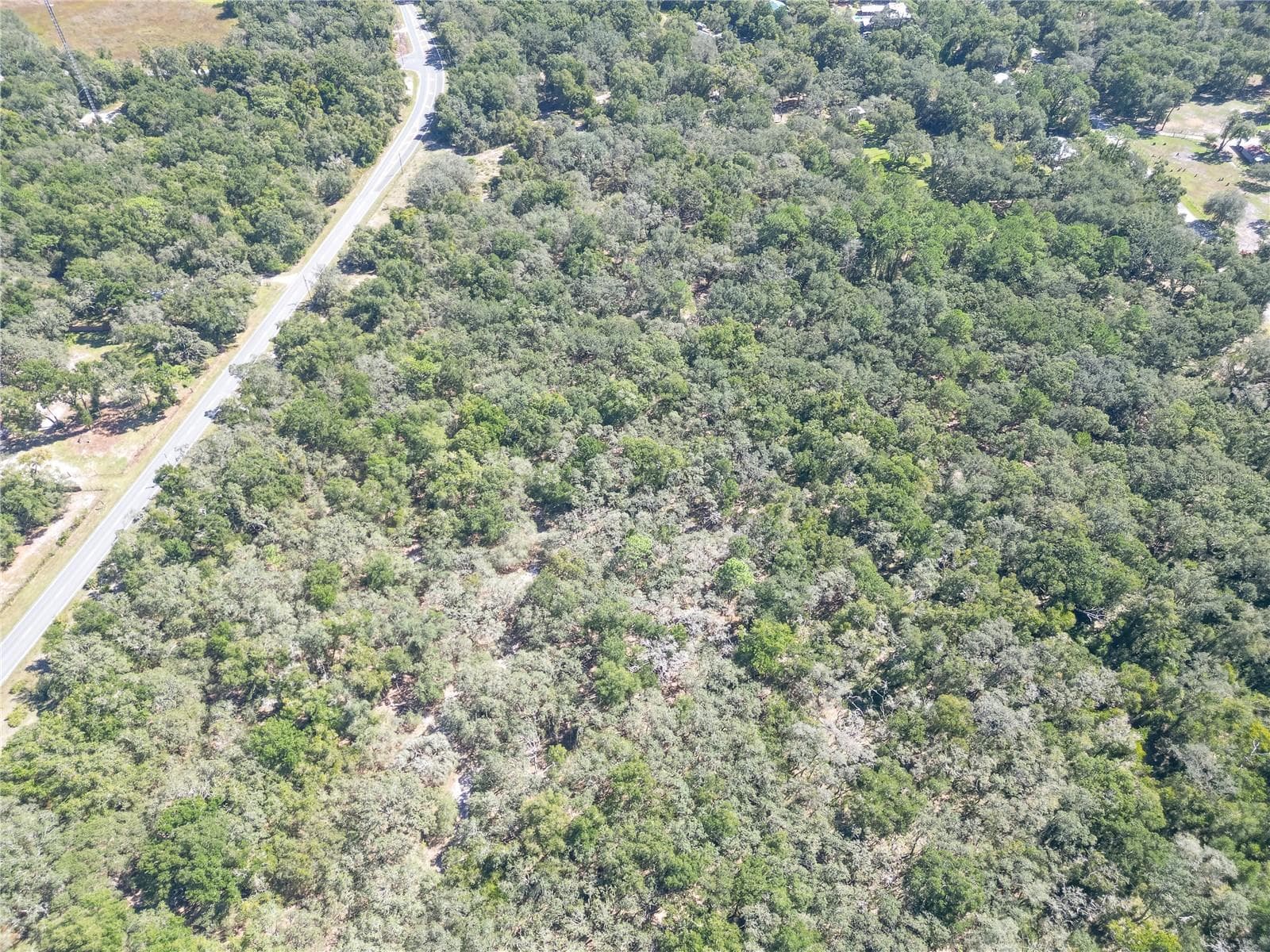 Land at TBD CR 673, WEBSTER, photo 57 of 69