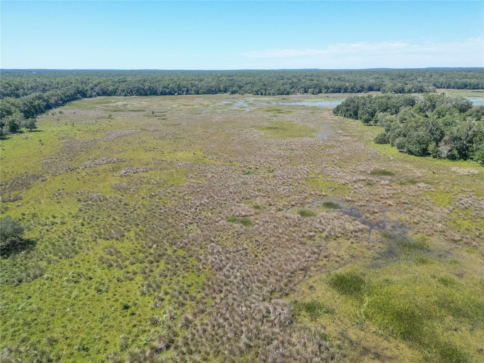 Land at TBD CR 673, WEBSTER, photo 59 of 69