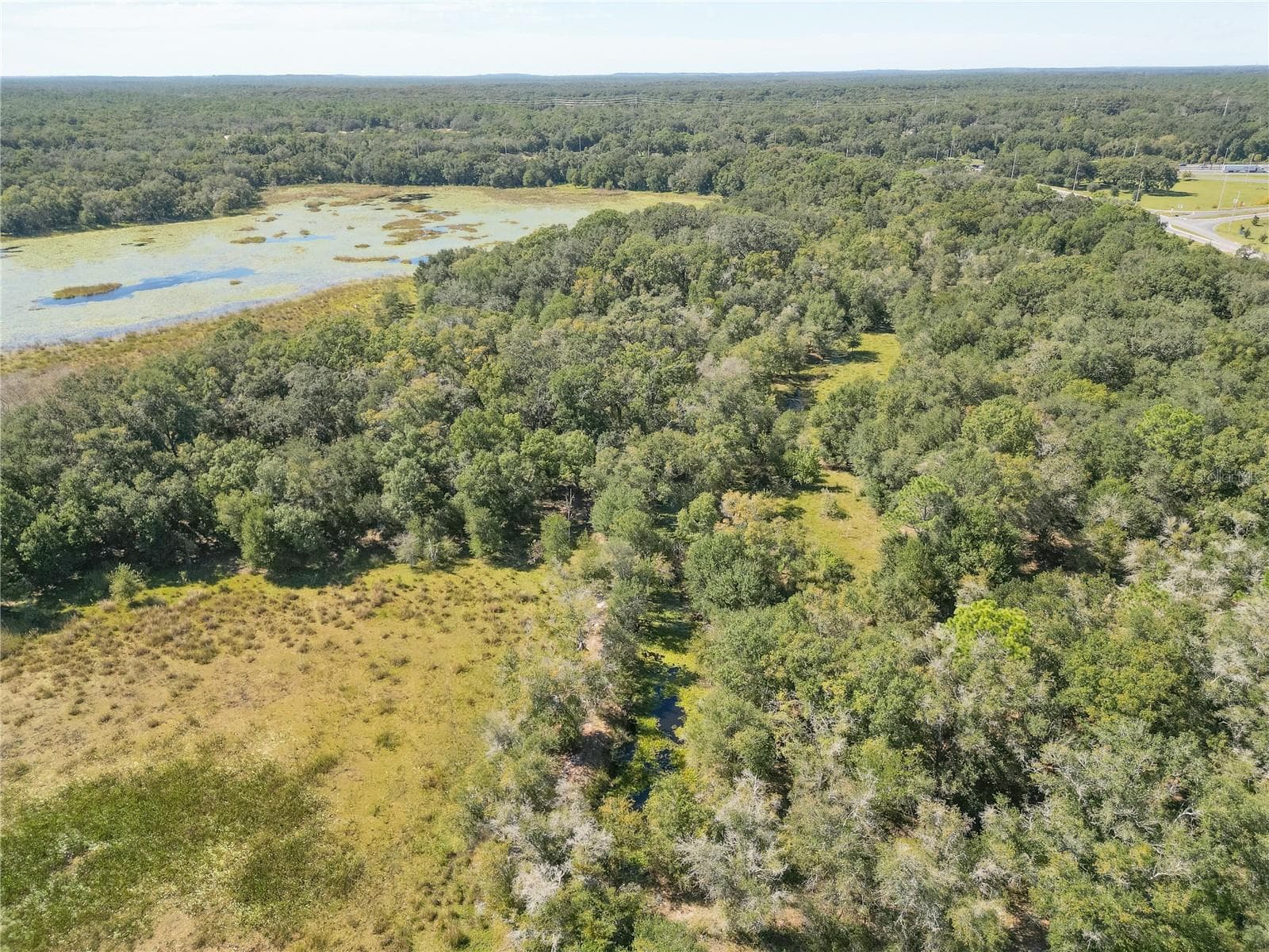Land at TBD CR 673, WEBSTER, photo 60 of 69