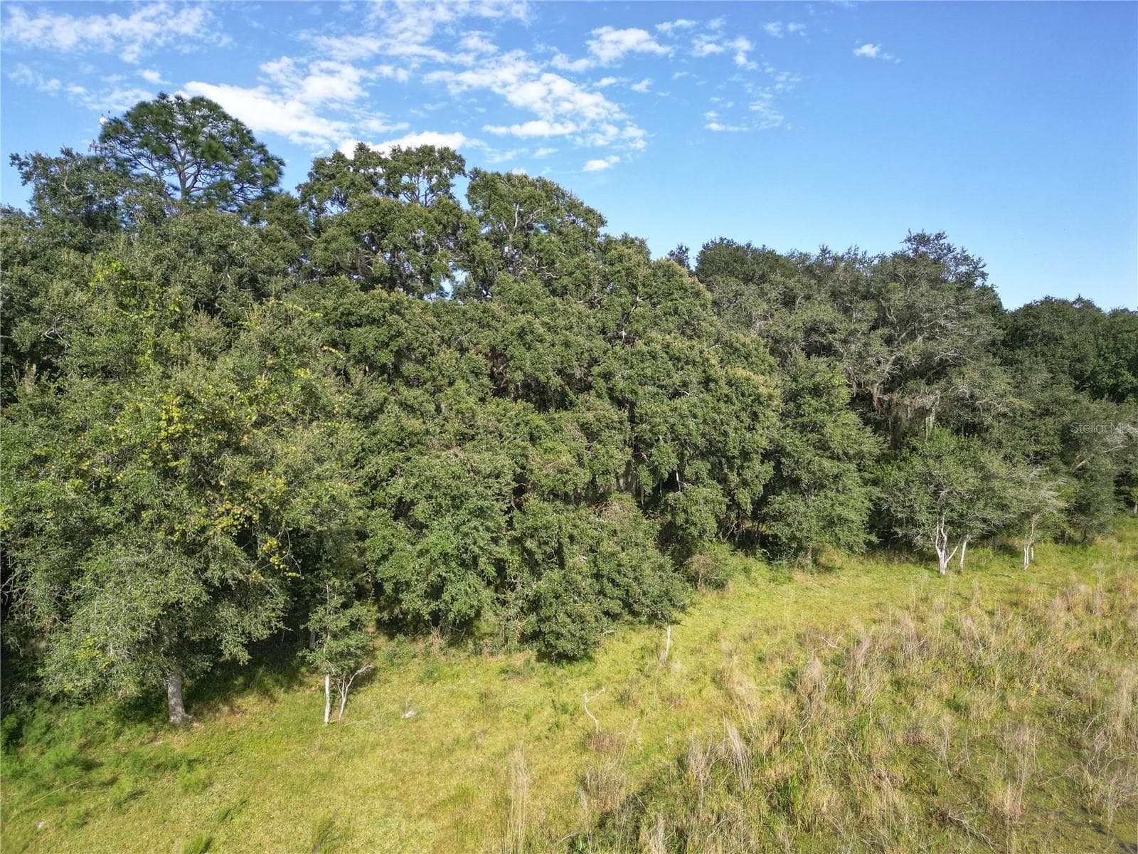 Land at TBD CR 673, WEBSTER, photo 61 of 69