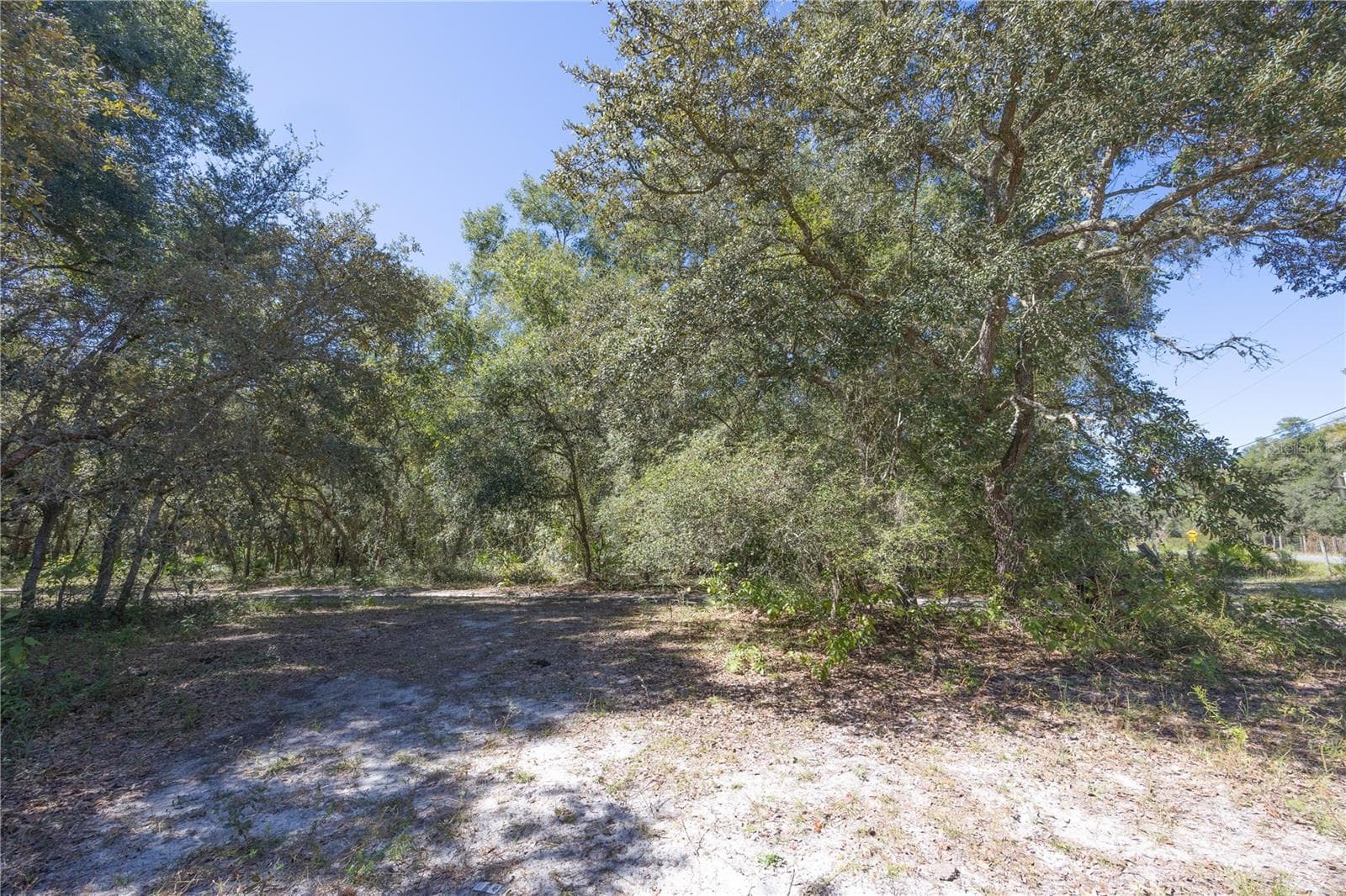 Land at TBD CR 673, WEBSTER, photo 62 of 69