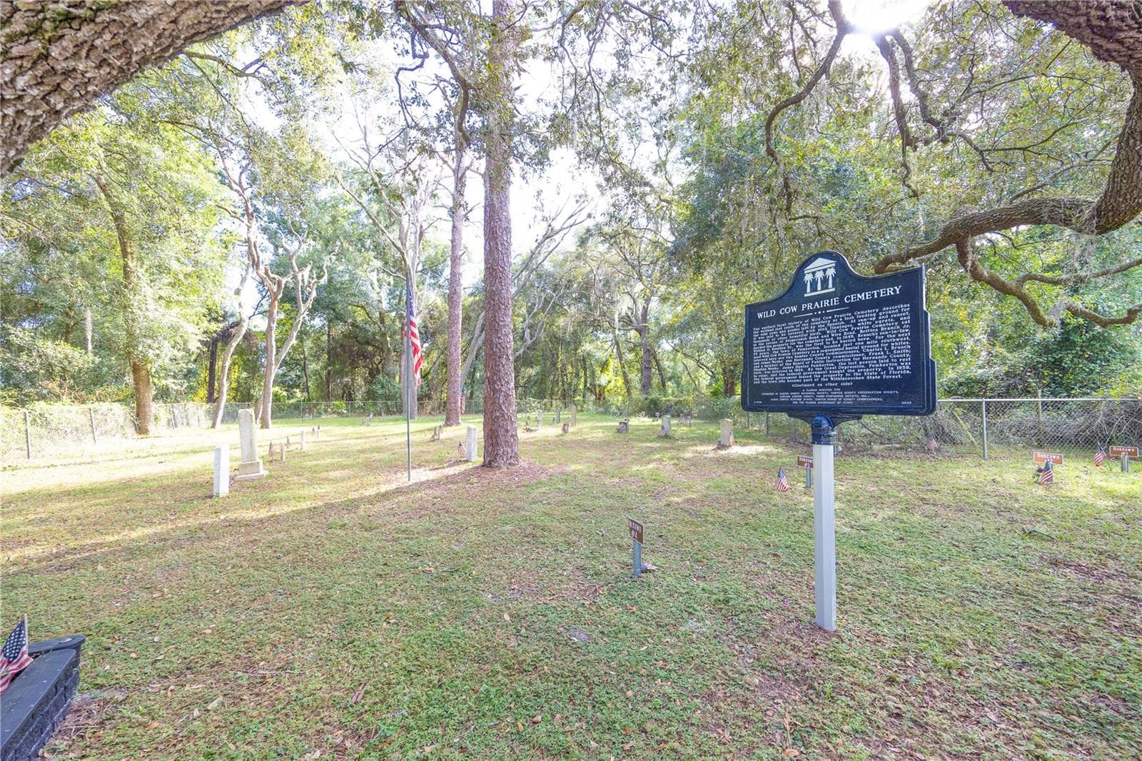 Land at TBD CR 673, WEBSTER, photo 67 of 69