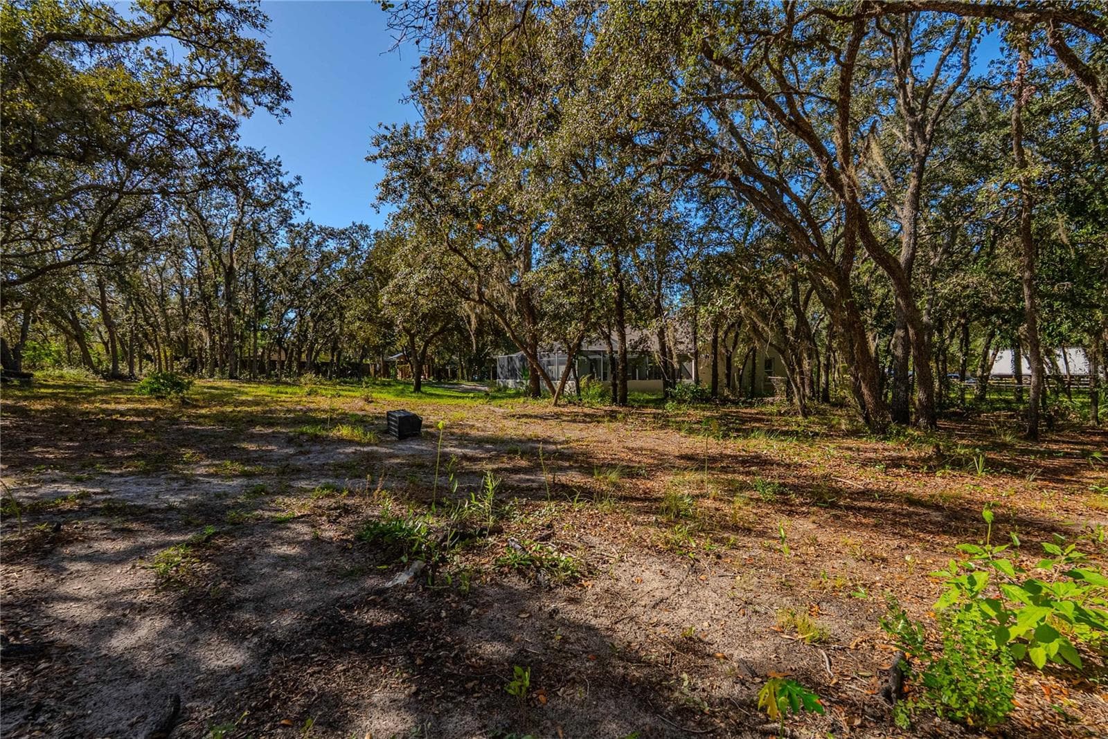 Single Family Residence at 14214 CINNAMAN LN, WEEKI WACHEE, photo 55 of 59