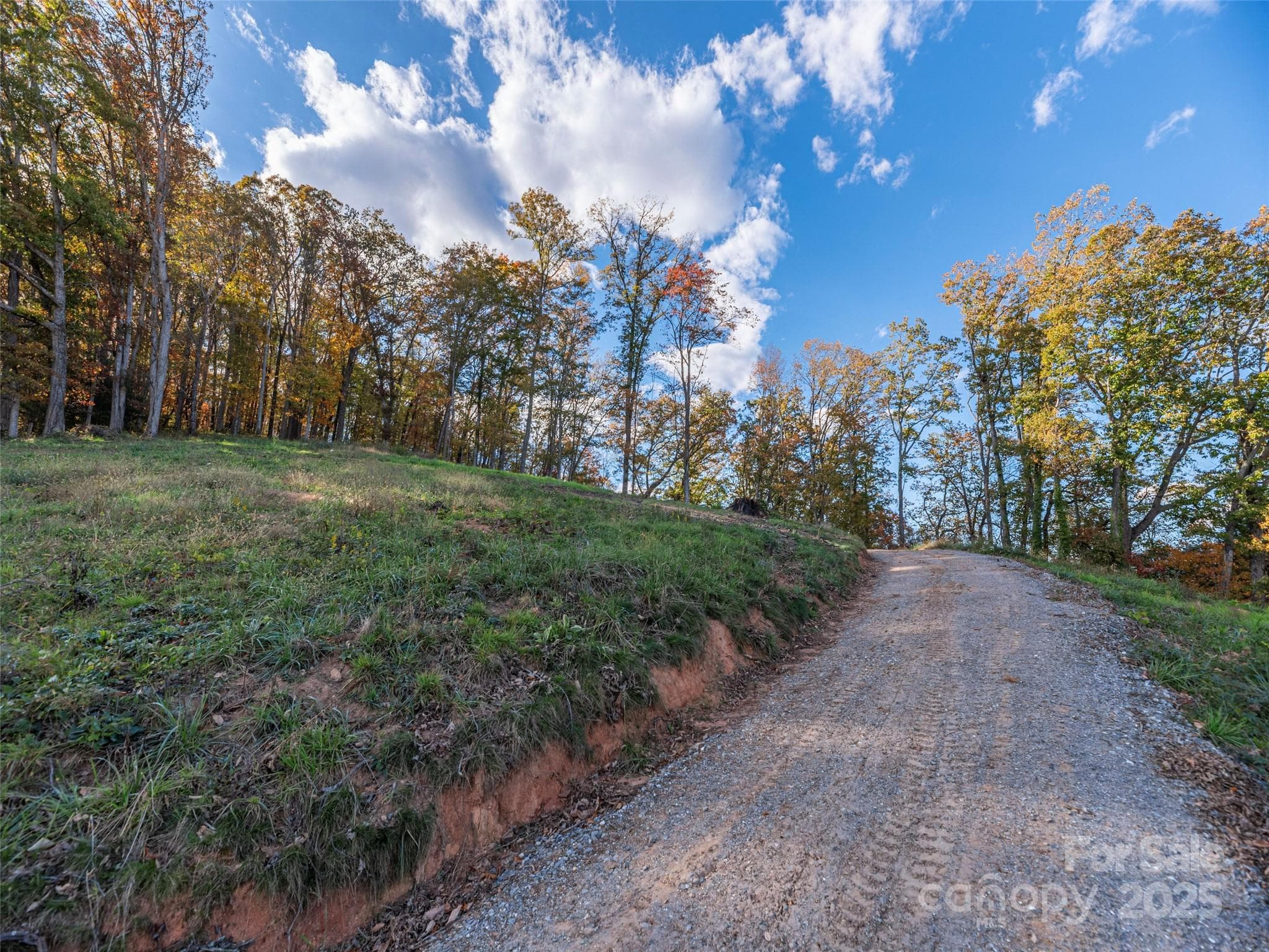 Lot at Waynesville, photo 4 of 20