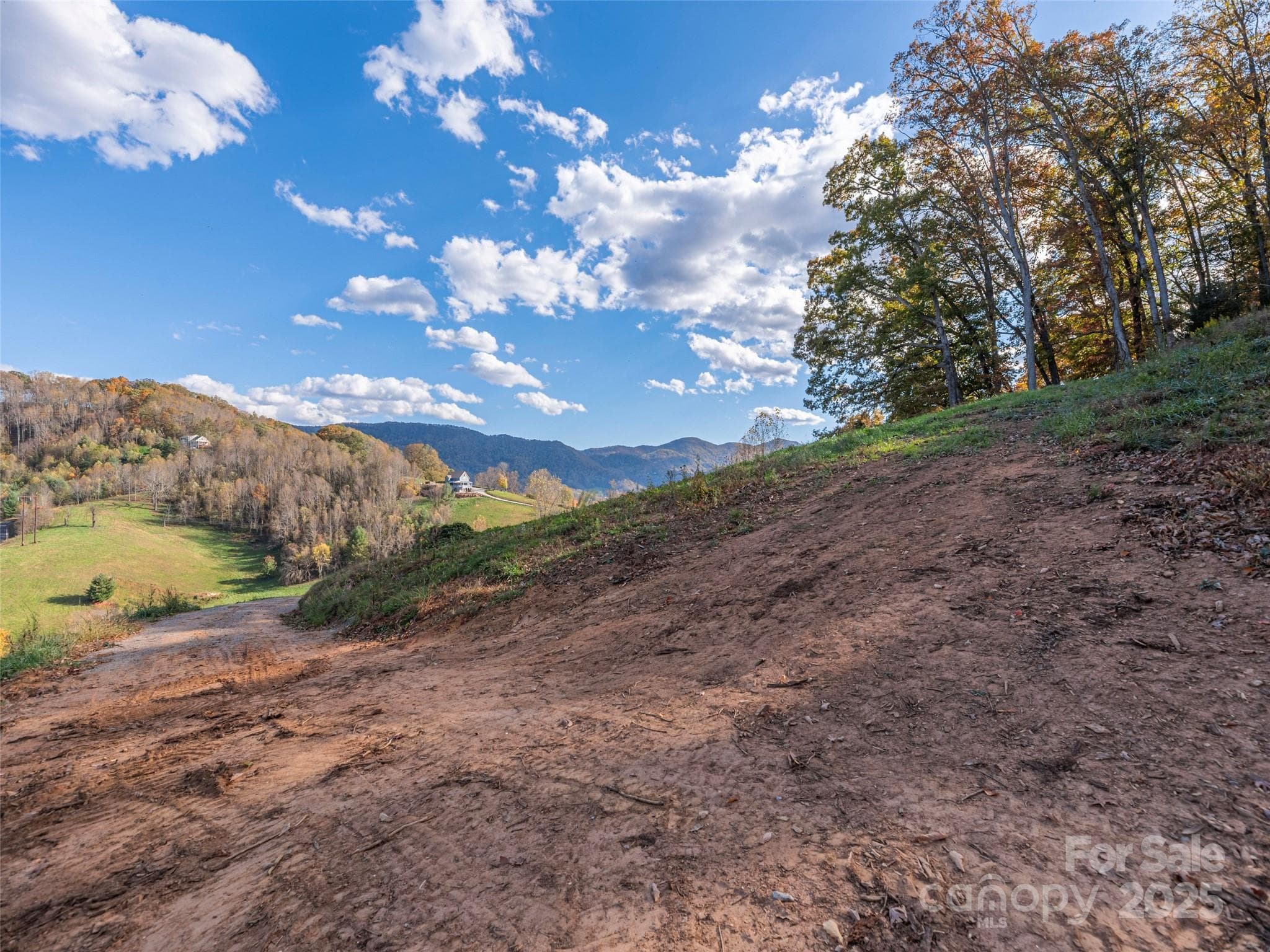 Lot at 00 Aster Ridge Drive, Waynesville, photo 11 of 39