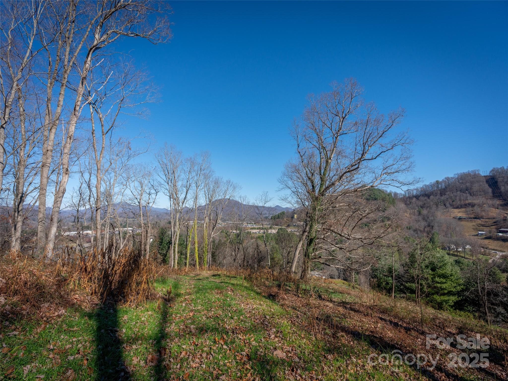 Lot at Waynesville, photo 13 of 20