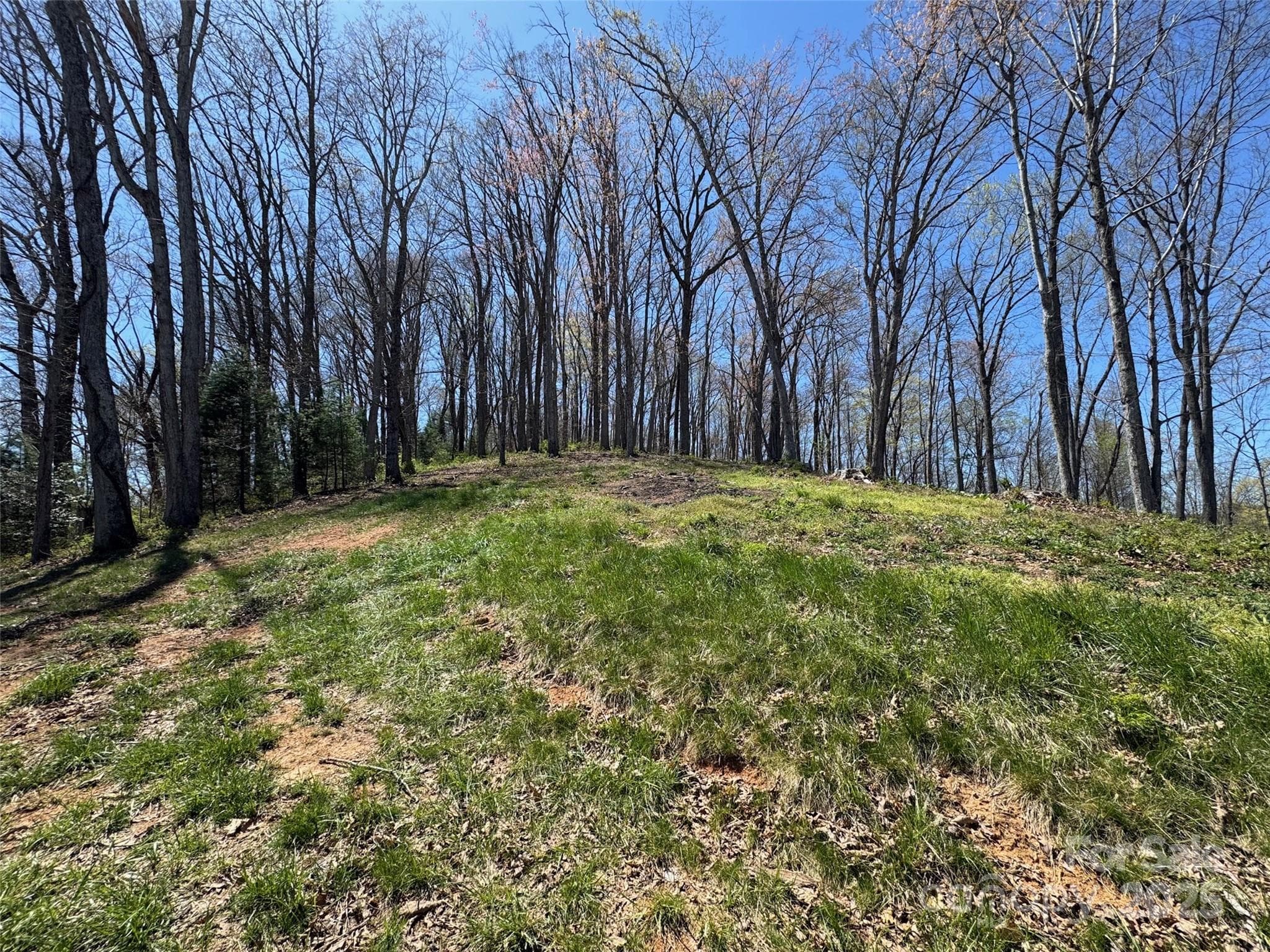 Lot at 00 Aster Ridge Drive, Waynesville, photo 33 of 39