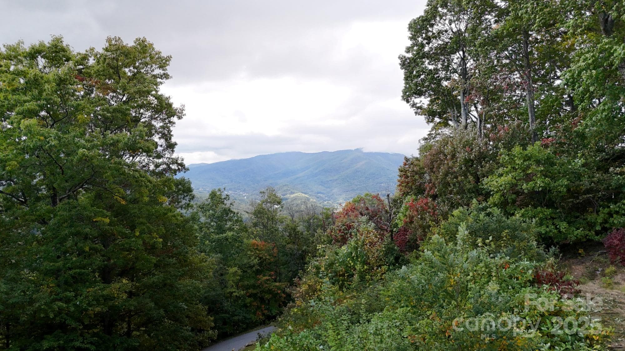 Single Family Residence at Waynesville, photo 8 of 43