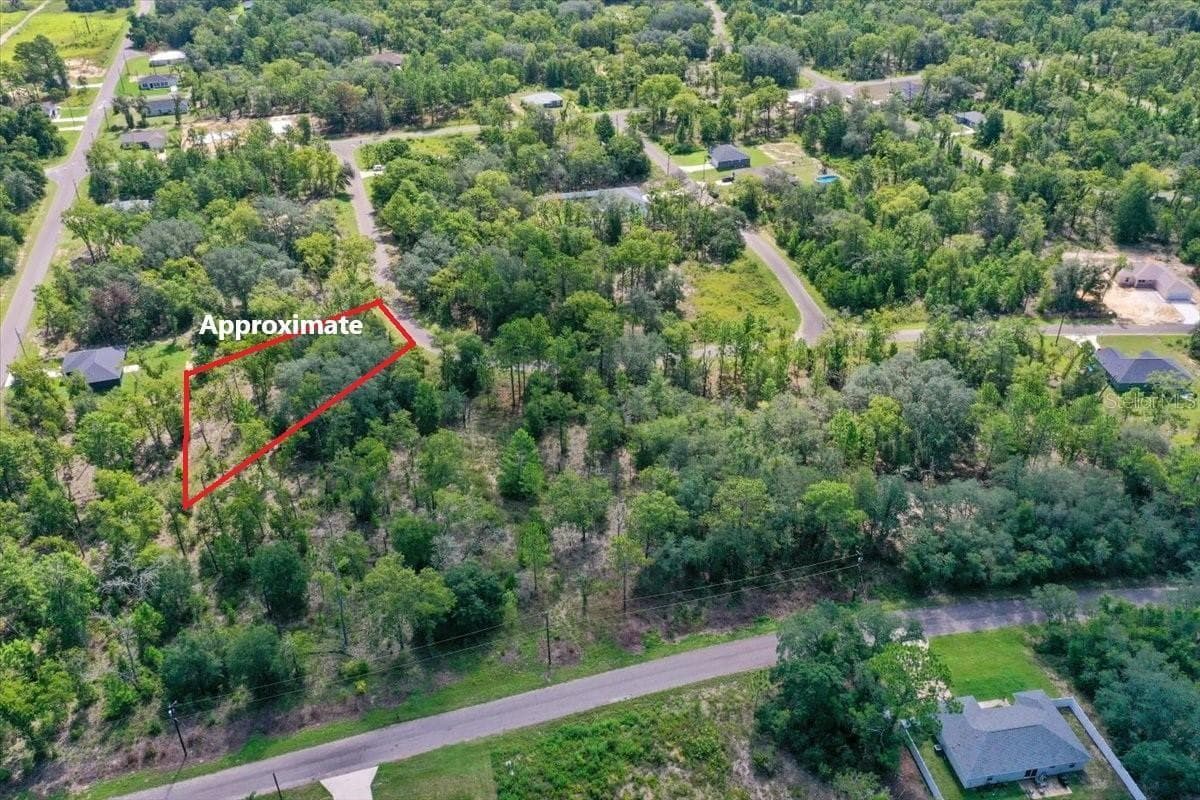 Land at 0024 GUAVA PASS DR, OCKLAWAHA, photo 2 of 24