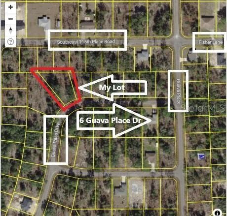 Land at 0024 GUAVA PASS DR, OCKLAWAHA, photo 4 of 24