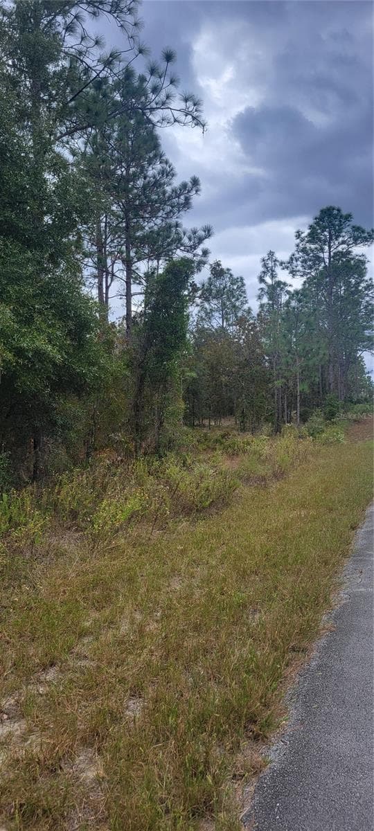 Land at 0 SW ARROW LEAF TRL, DUNNELLON, photo 2 of 19