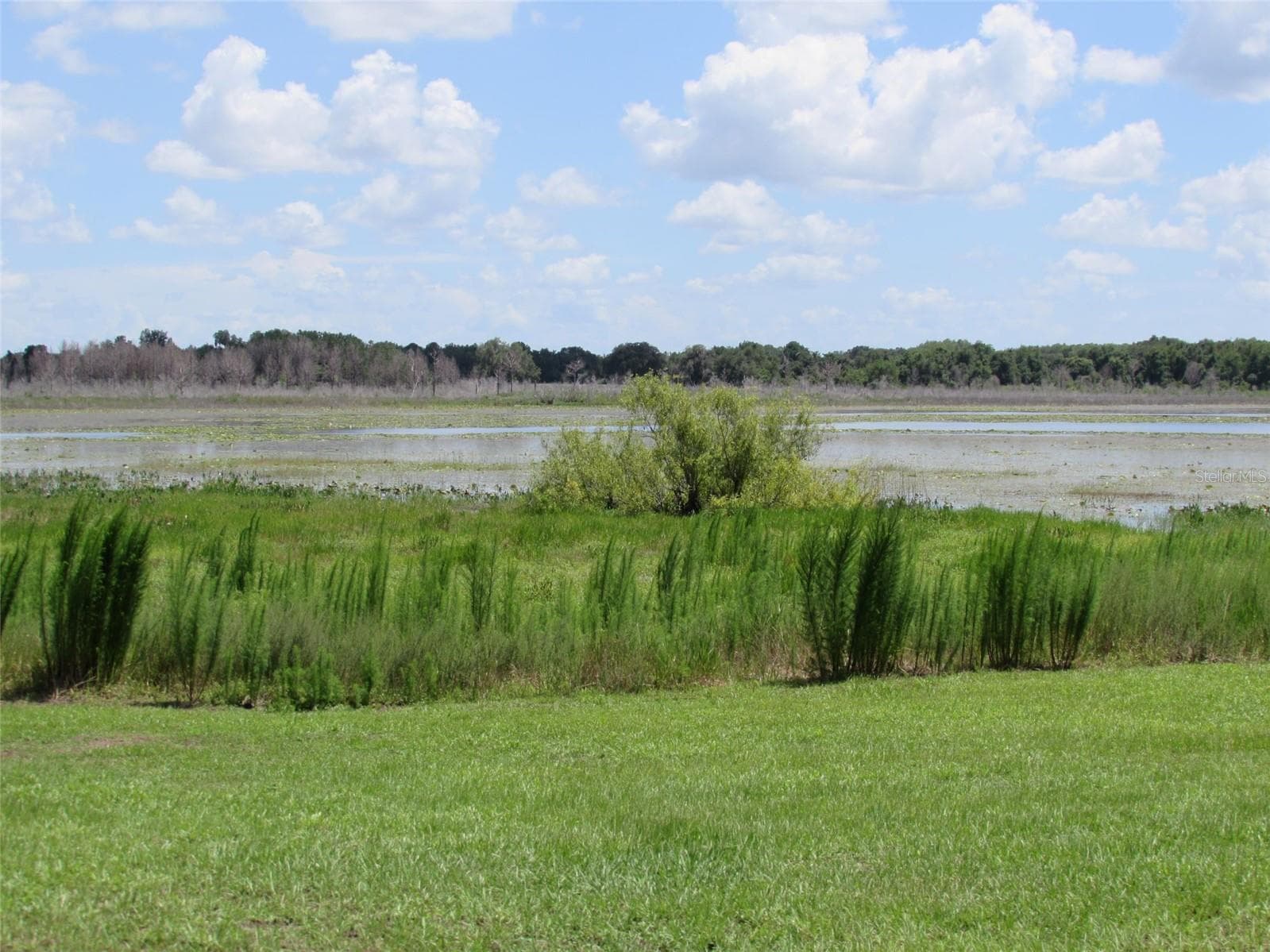 Land at 0 SW ARROW LEAF TRL, DUNNELLON, photo 19 of 19