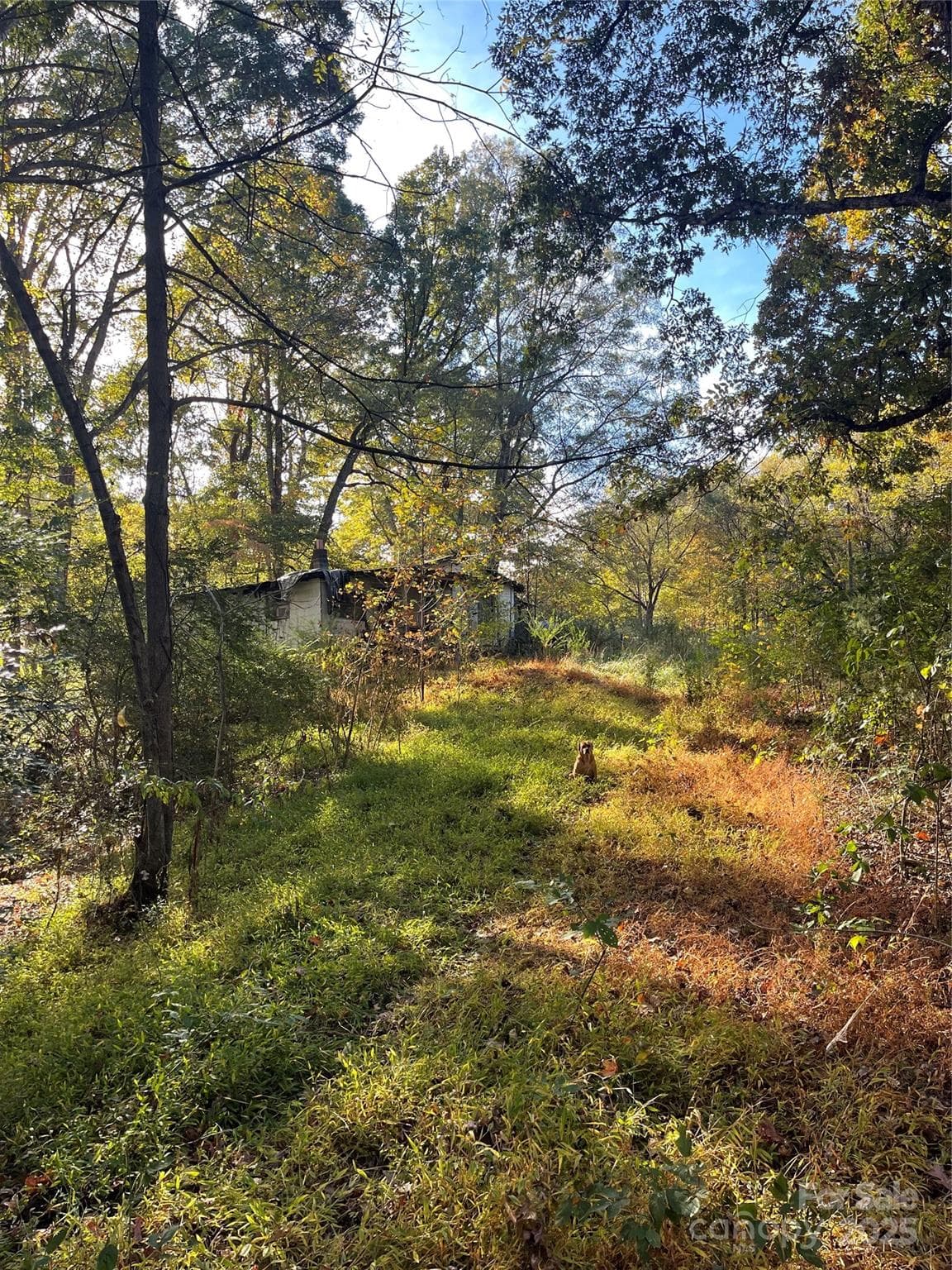 Lot at Mooresville, photo 5 of 9