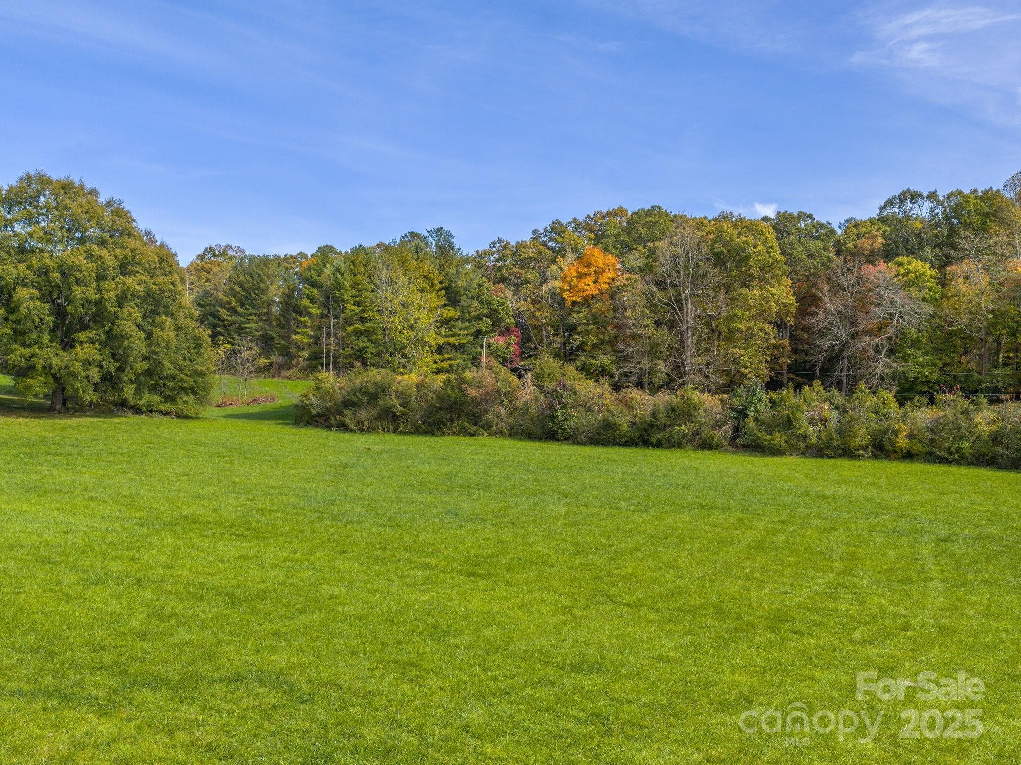 Unimproved Commercial at 5620 Old Haywood Road, Mills River, photo 9 of 23