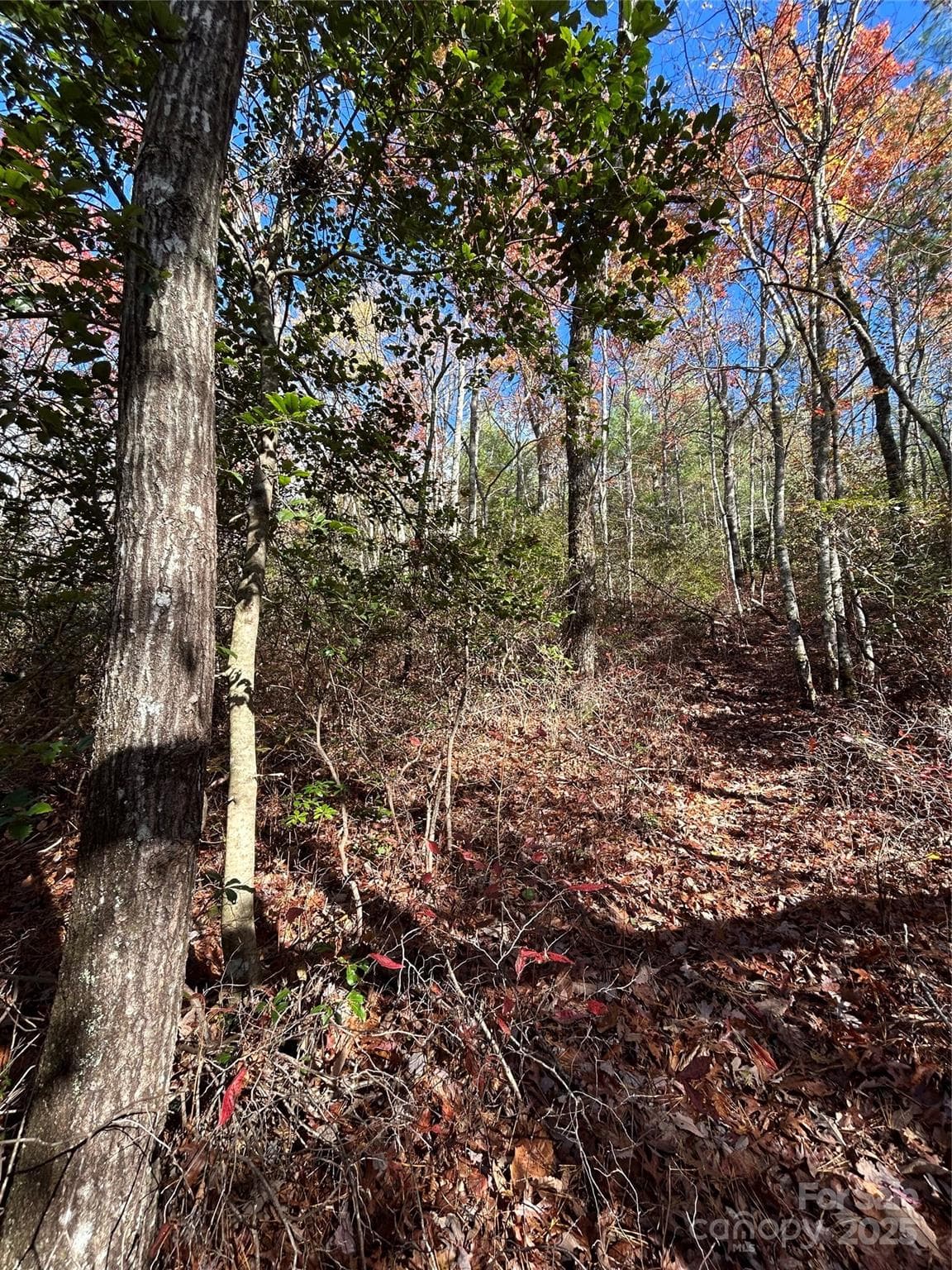 Lot at Brevard, photo 2 of 7