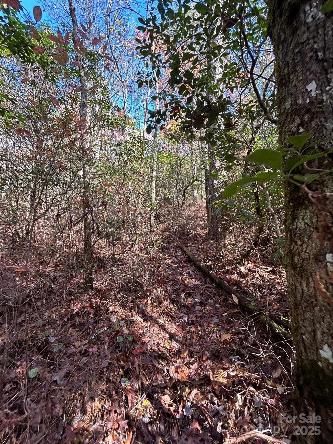 Lot at Brevard, photo 3 of 7