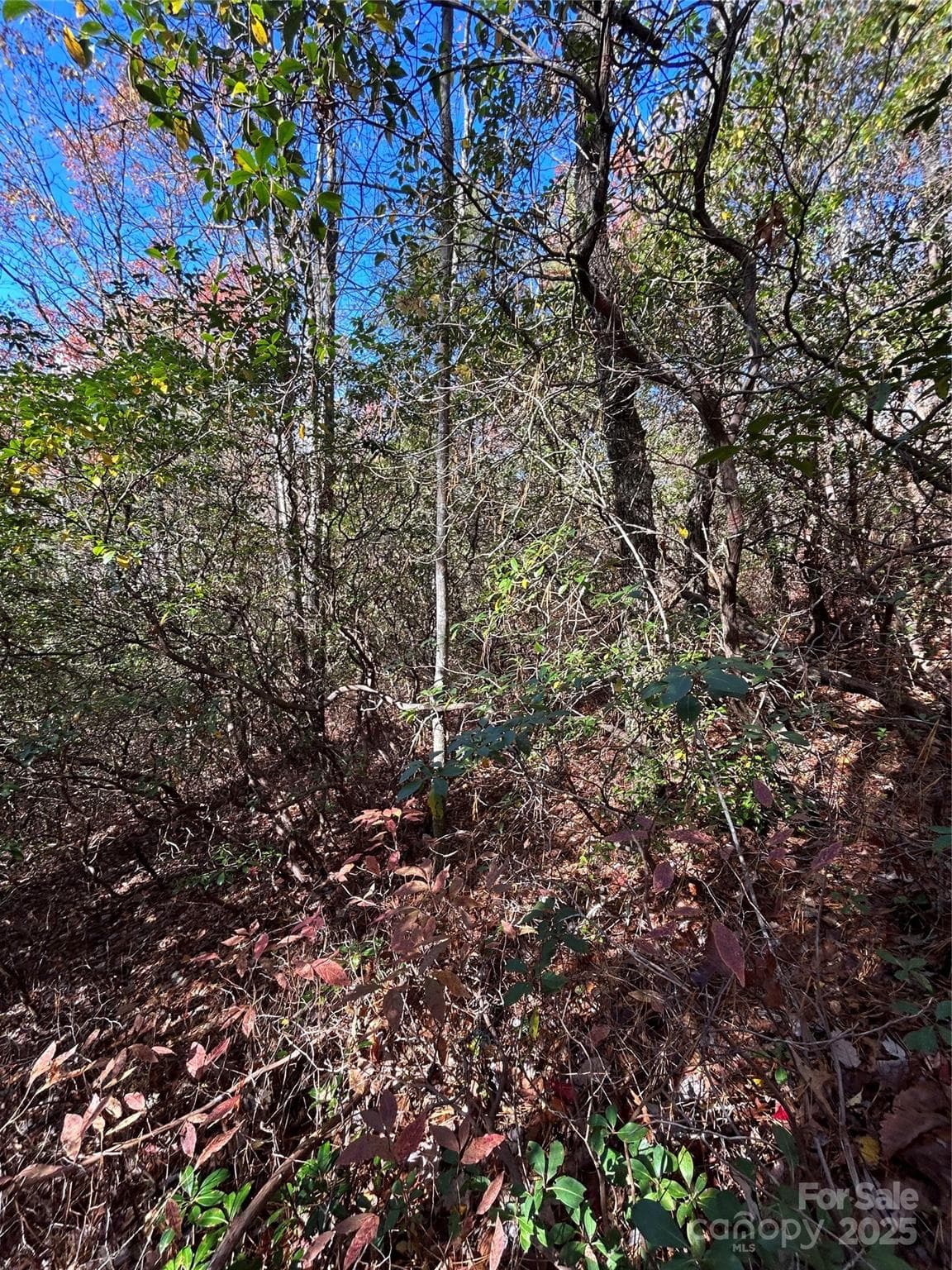 Lot at Brevard, photo 4 of 7