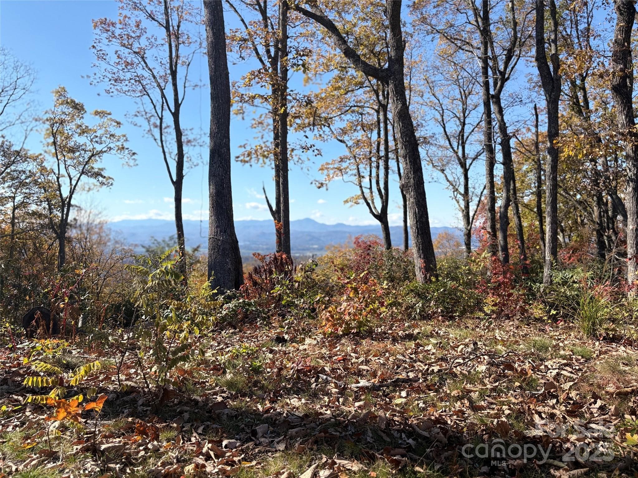 Lot at Fletcher, photo 2 of 10