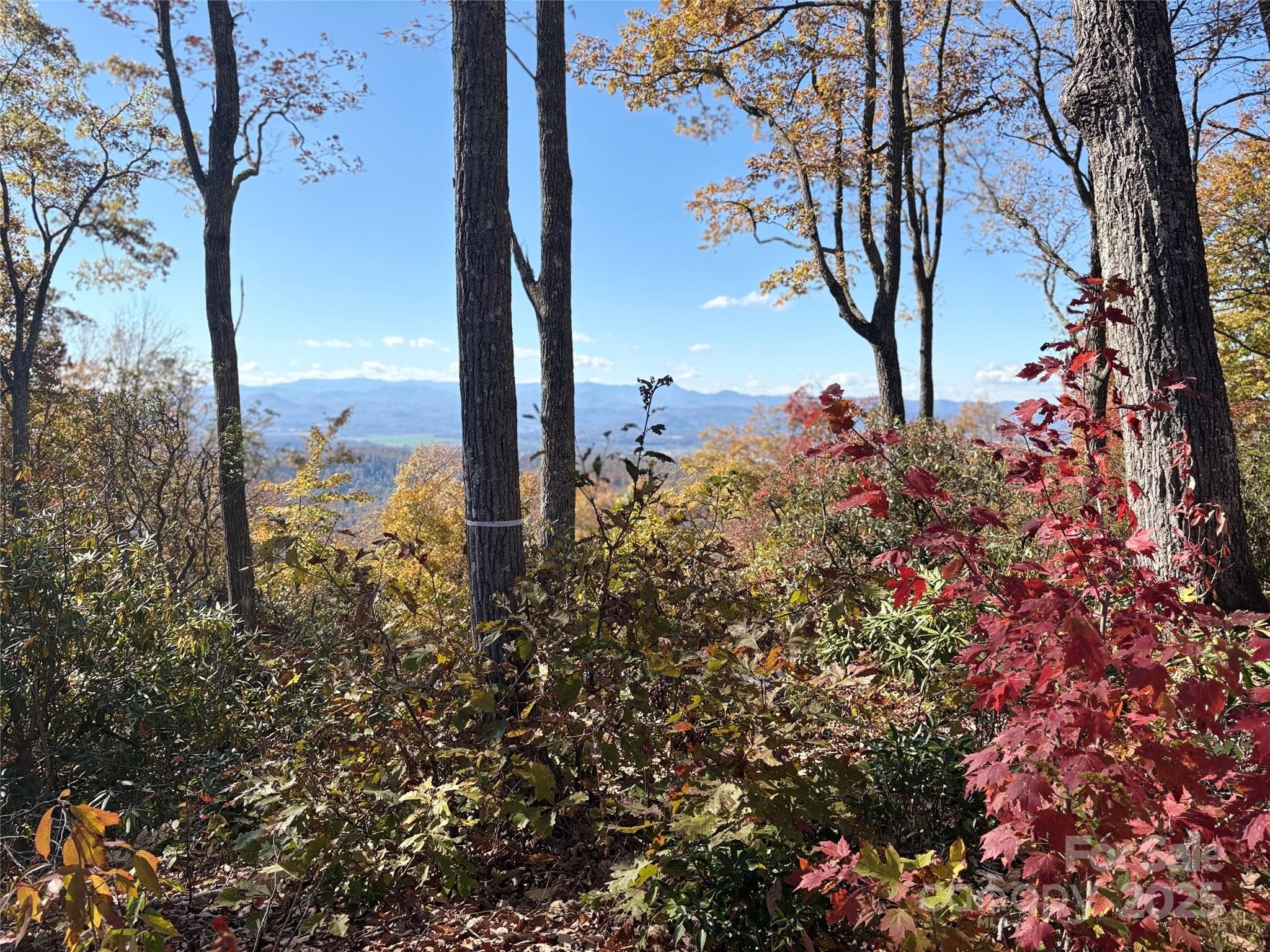 Lot at Fletcher, photo 3 of 10