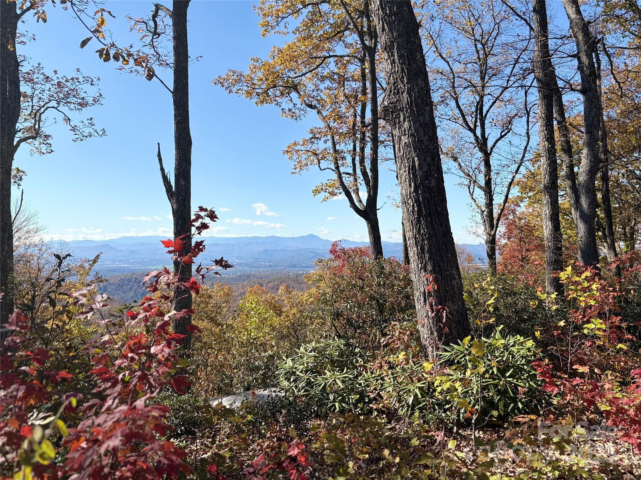 Lot at Fletcher, photo 4 of 10