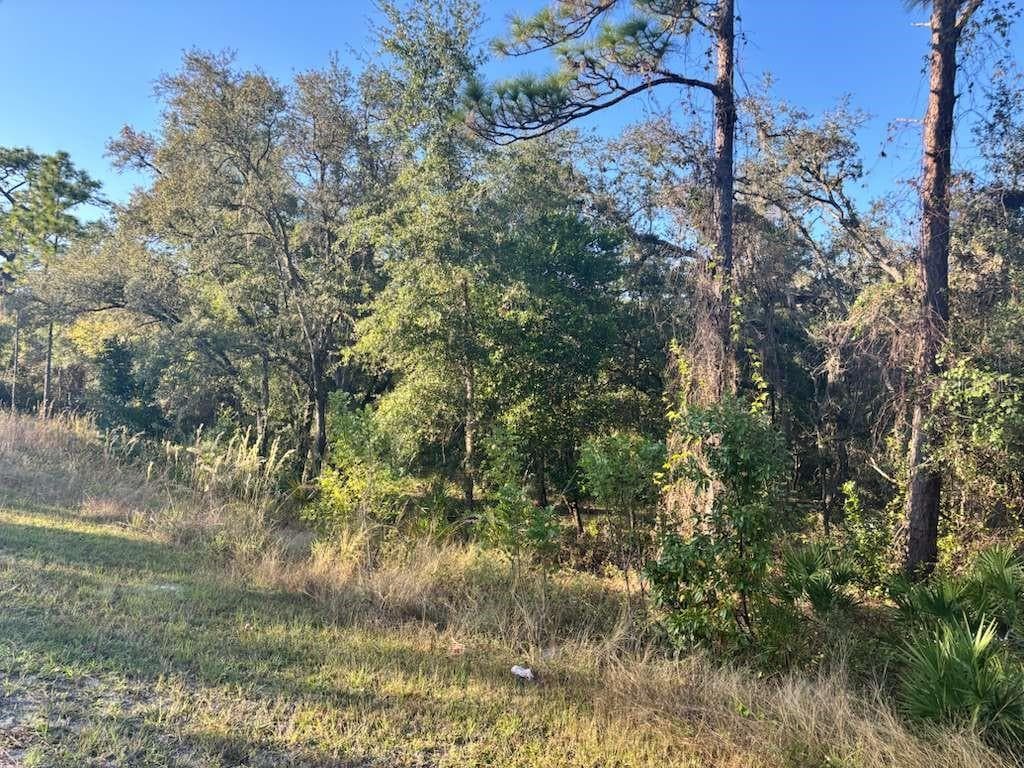 Land at 33193 EASTER DR, WEBSTER, photo 2 of 6