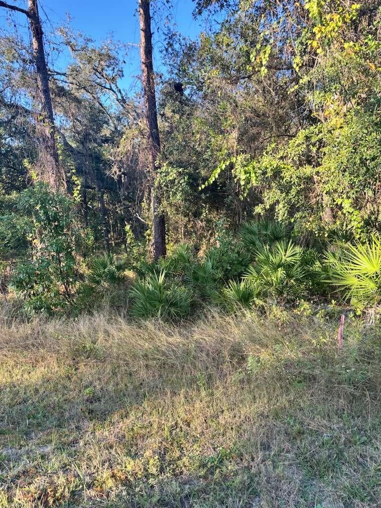 Land at 33193 EASTER DR, WEBSTER, photo 3 of 6