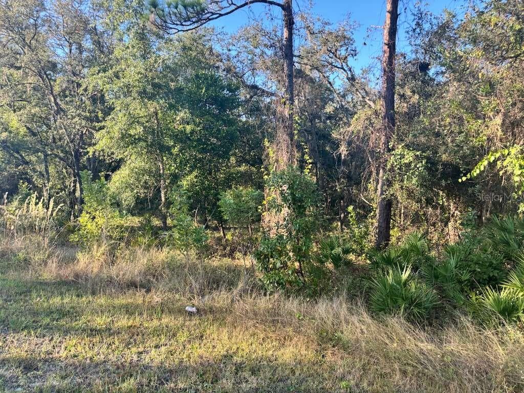 Land at 33193 EASTER DR, WEBSTER, photo 5 of 6
