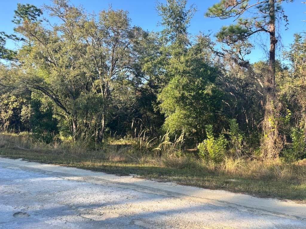 Land at 33193 EASTER DR, WEBSTER, photo 6 of 6