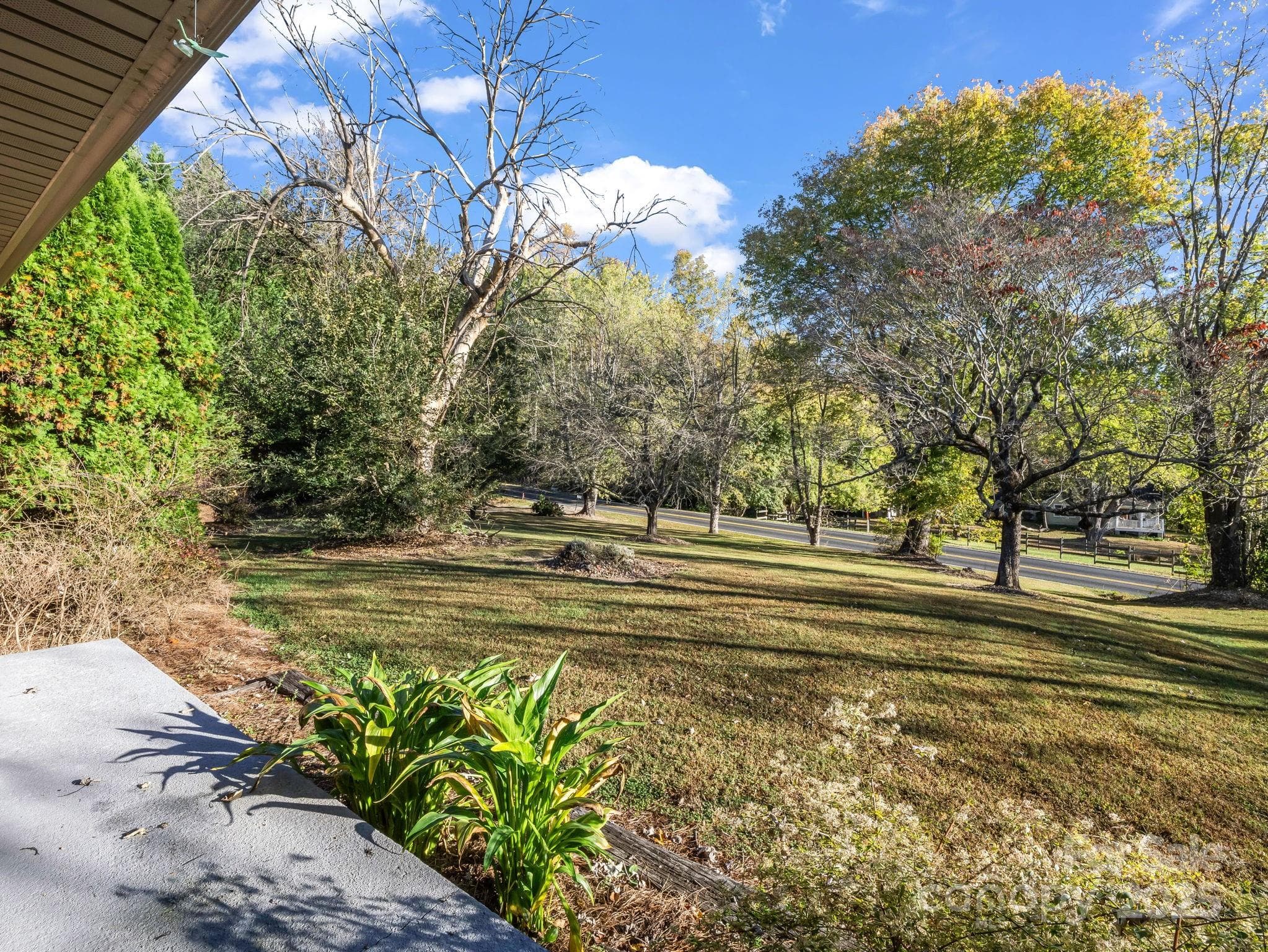 Front Yard - Hendersonville