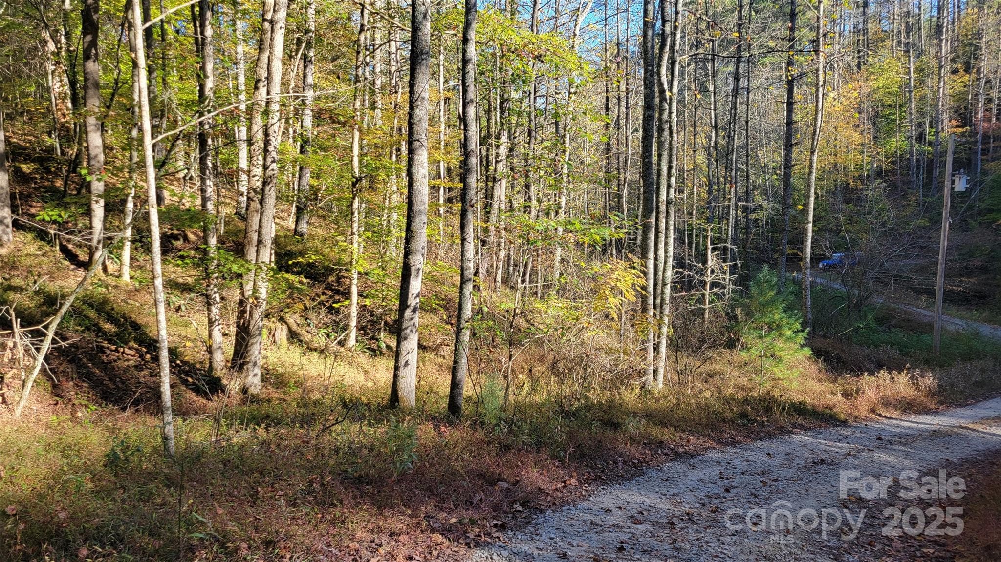 Lot at 000 Cabin Hill Road, Green Mountain, photo 2 of 11