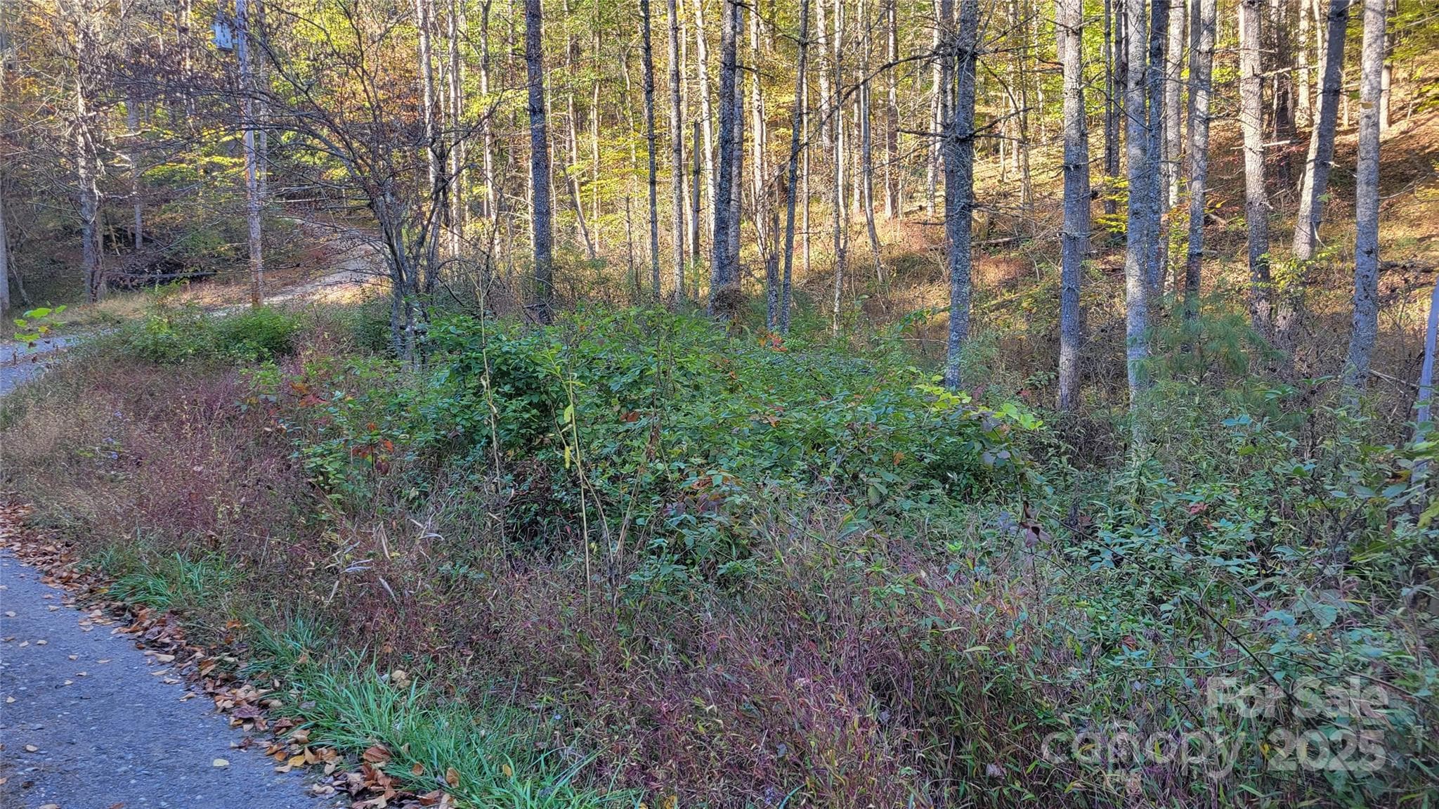 Lot at 000 Cabin Hill Road, Green Mountain, photo 3 of 11
