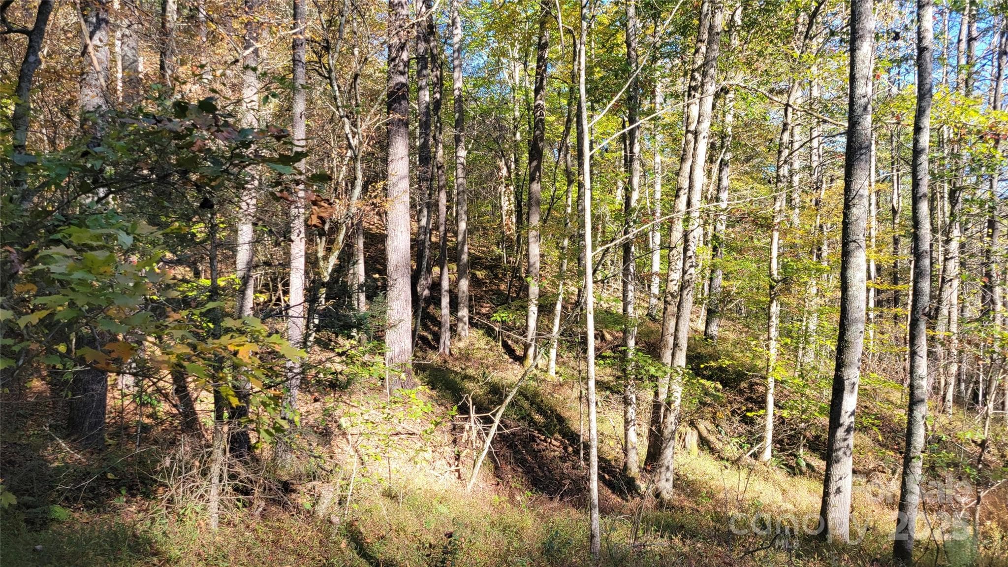 Lot at 000 Cabin Hill Road, Green Mountain, photo 4 of 11