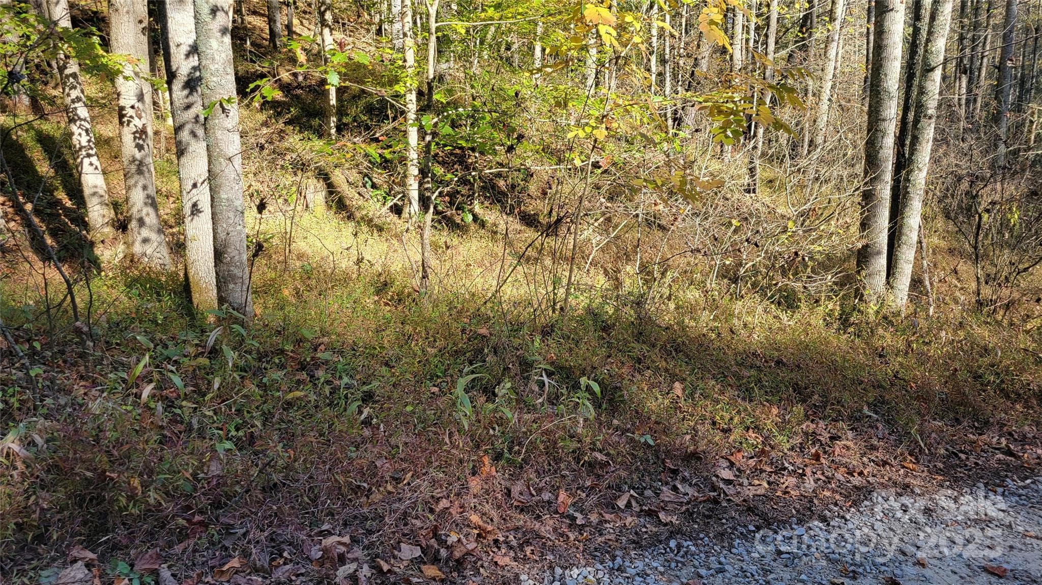Lot at 000 Cabin Hill Road, Green Mountain, photo 5 of 11