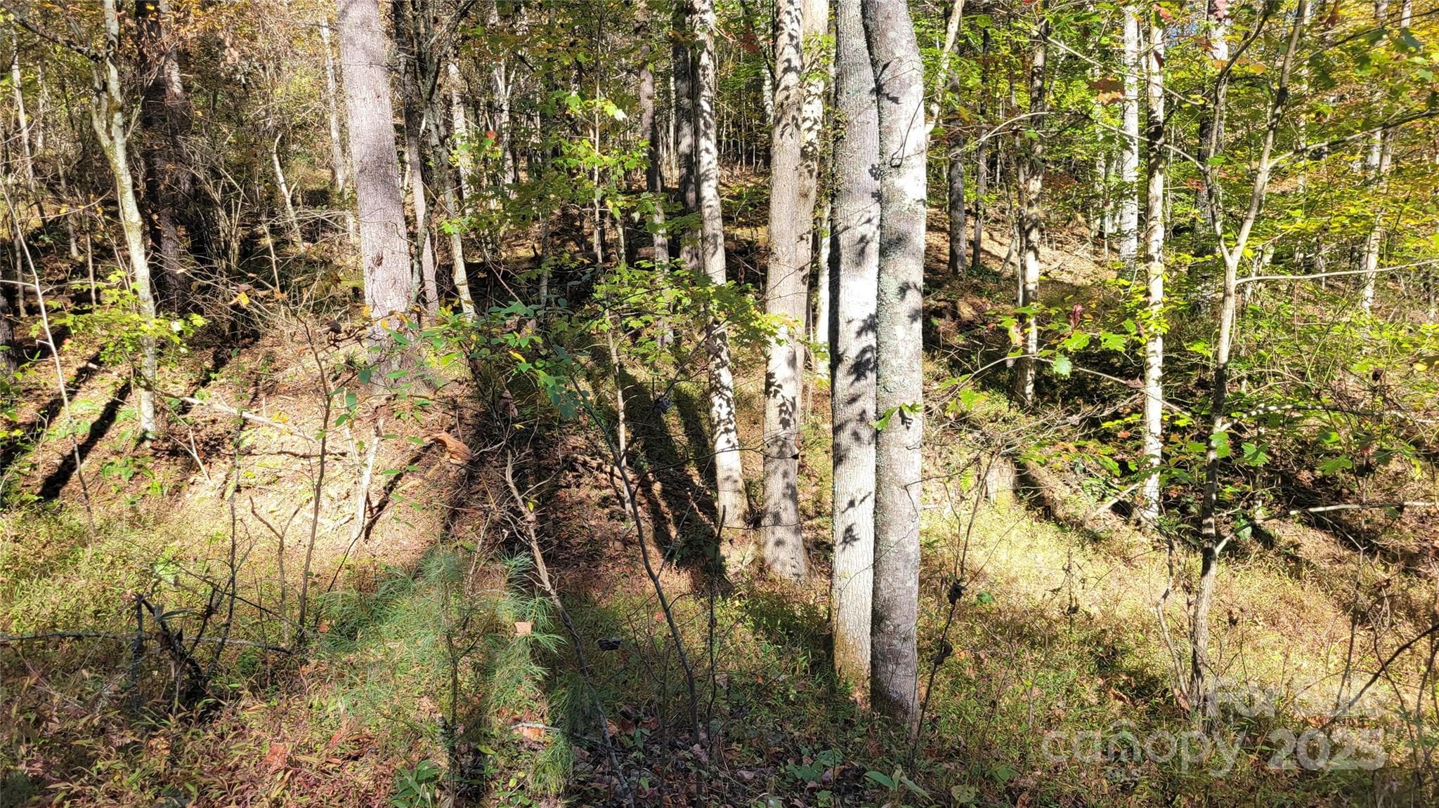 Lot at 000 Cabin Hill Road, Green Mountain, photo 6 of 11