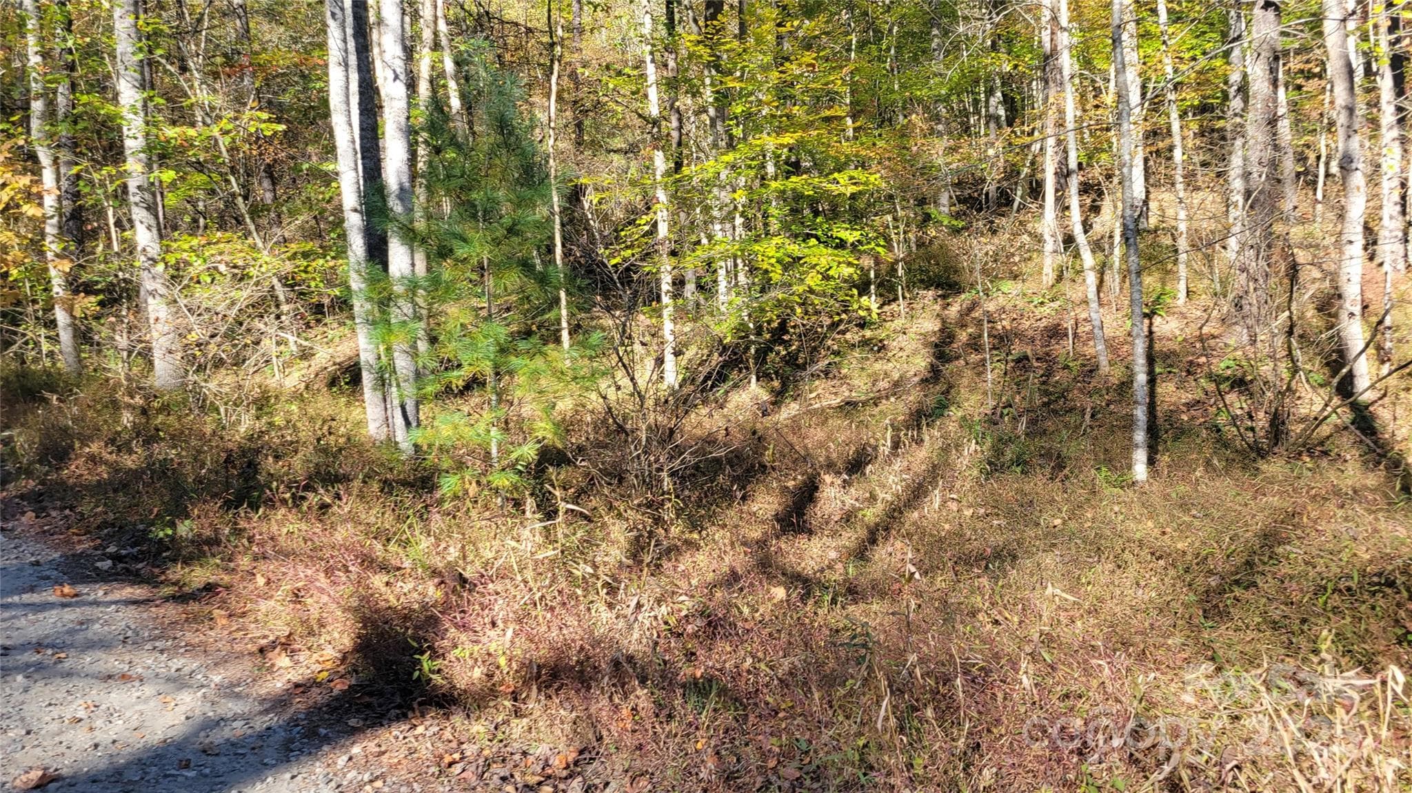 Lot at 000 Cabin Hill Road, Green Mountain, photo 7 of 11
