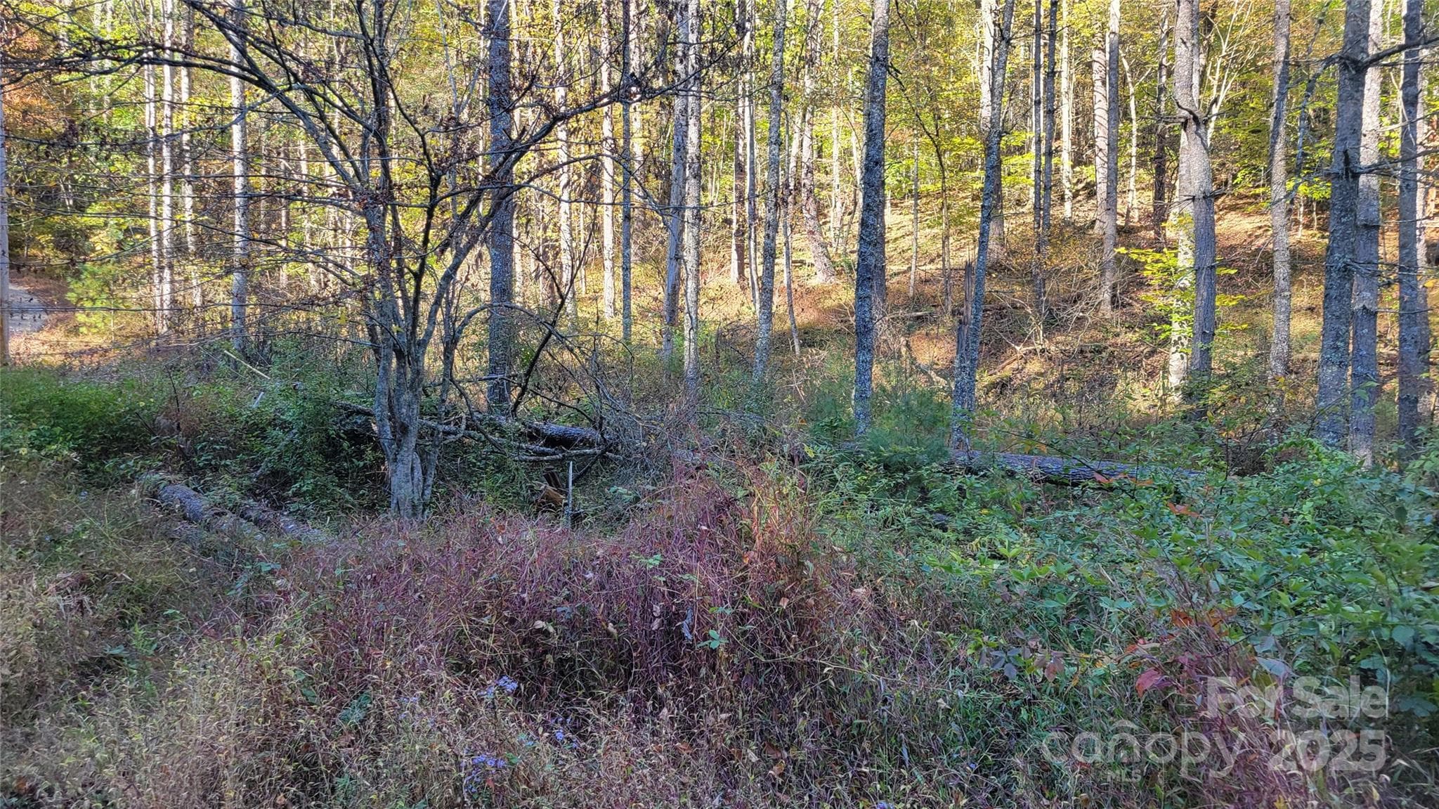 Lot at 000 Cabin Hill Road, Green Mountain, photo 8 of 11