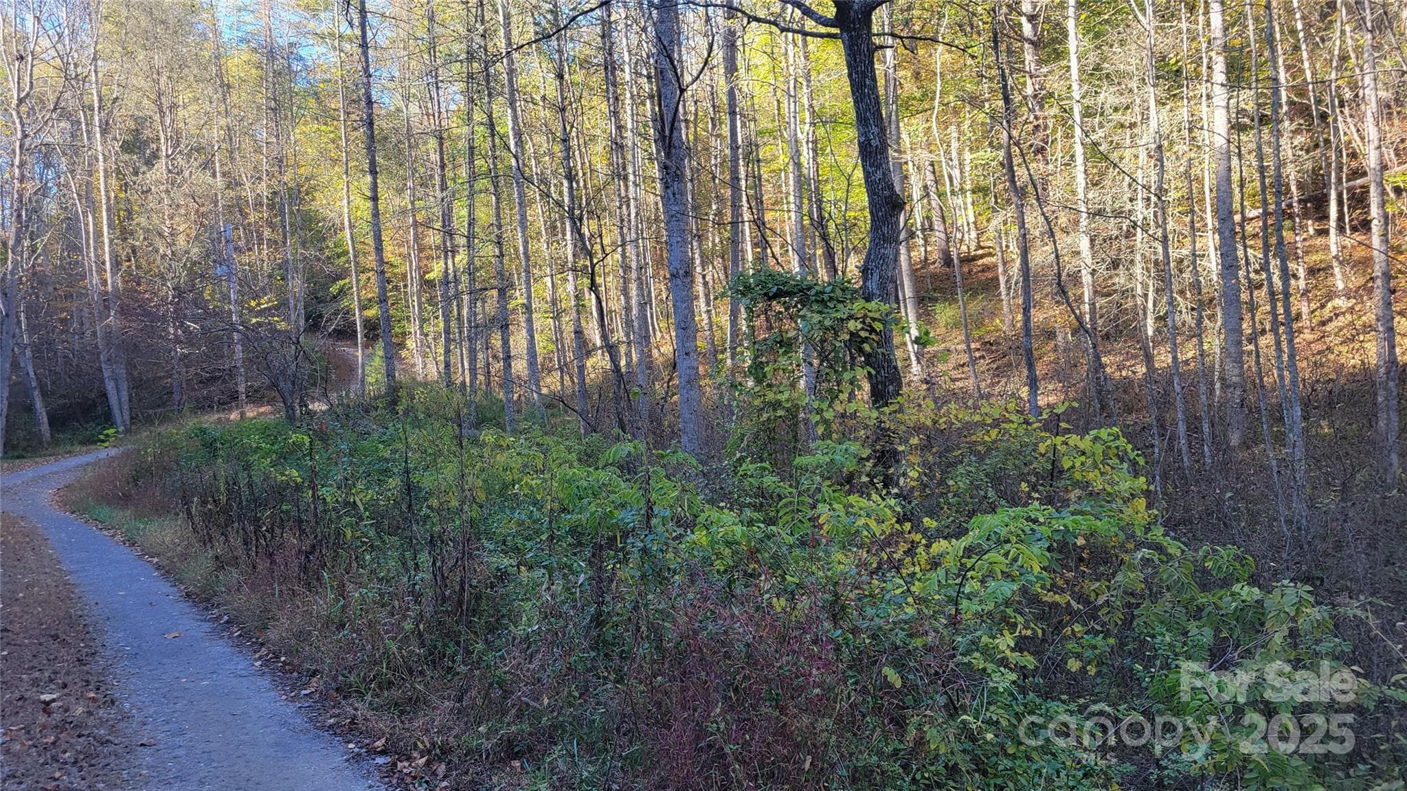 Lot at 000 Cabin Hill Road, Green Mountain, photo 9 of 11
