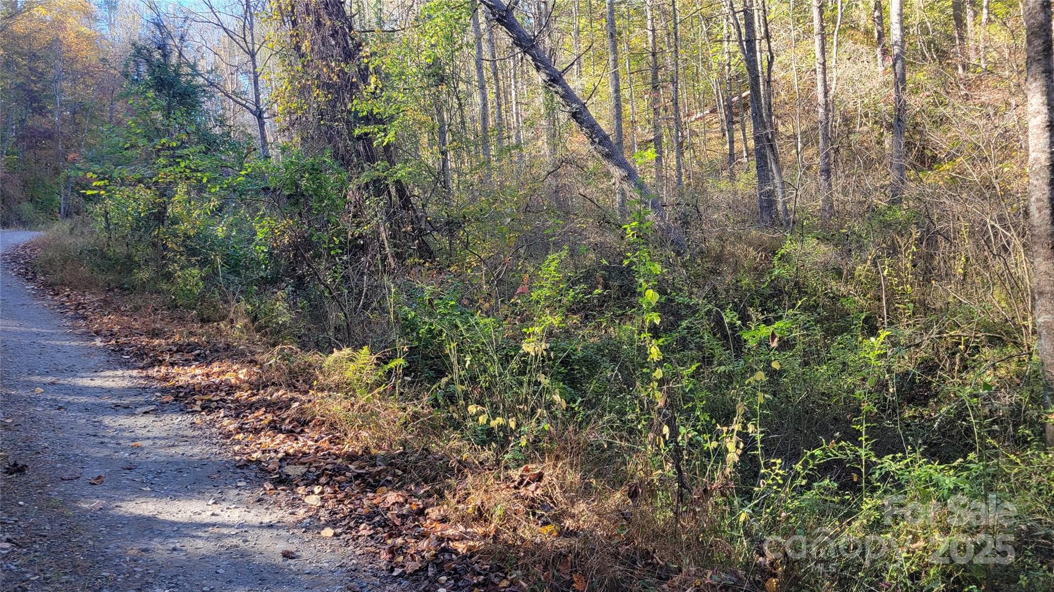 Lot at 000 Cabin Hill Road, Green Mountain, photo 10 of 11