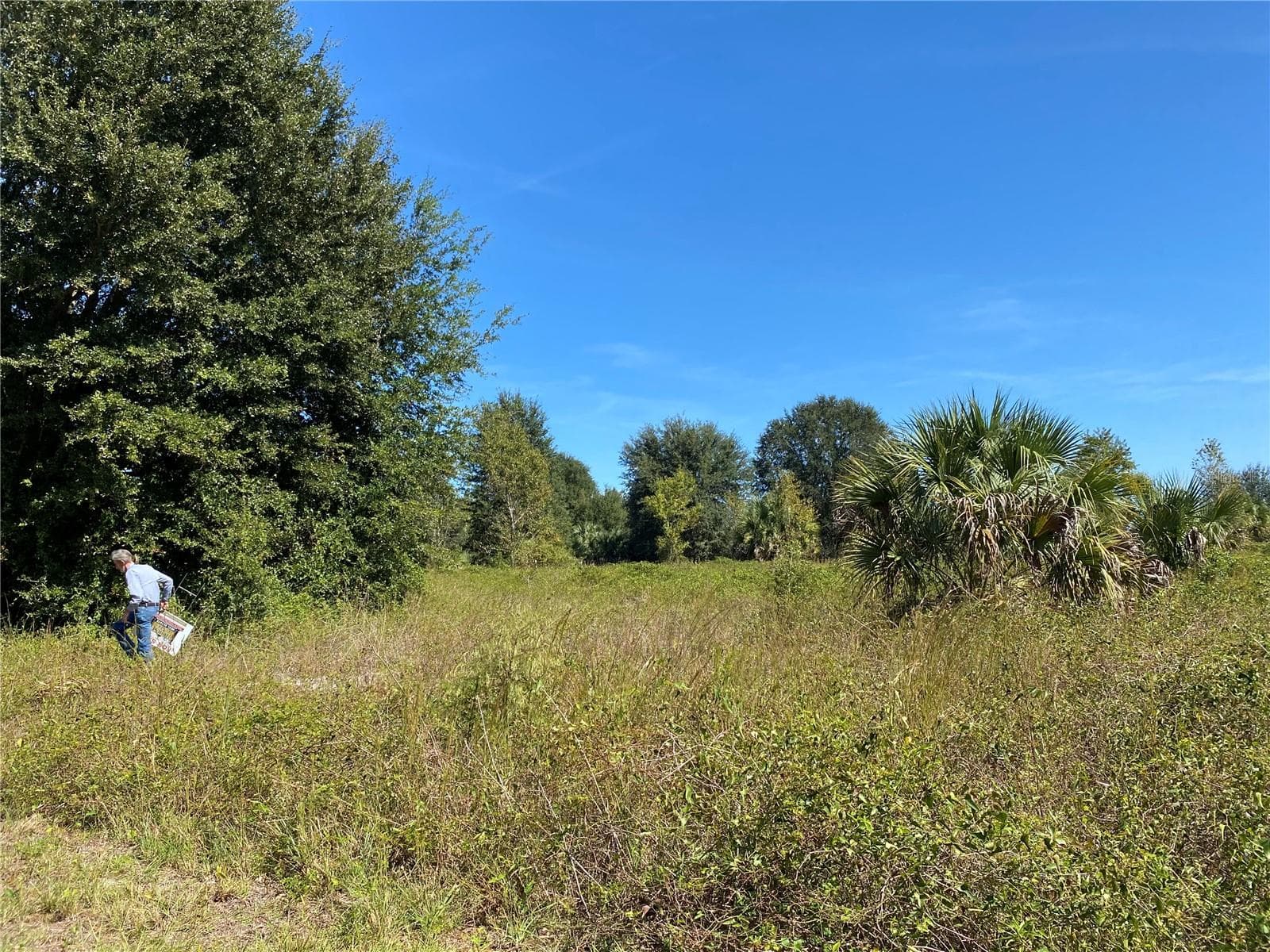 Land at xxxx NE 3RD CT, CITRA, photo 5 of 5