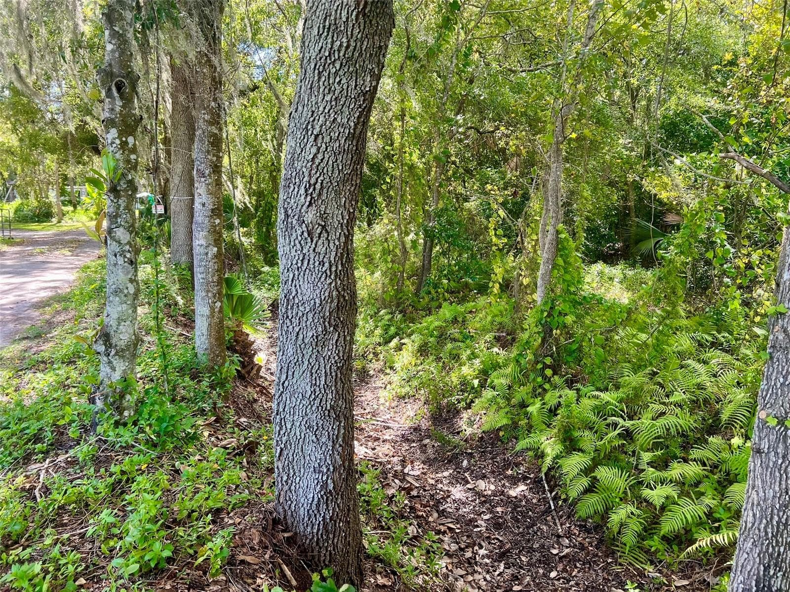 Land at 2175 W 25TH ST, SANFORD, photo 12 of 15