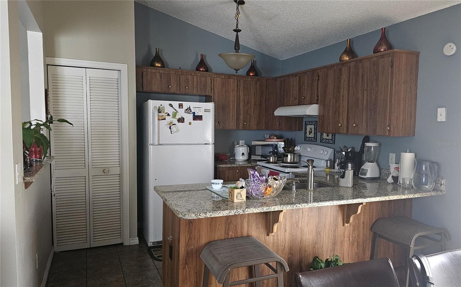 Kitchen with granite and passthrough to Living Room - 9906 SURREY RIDGE RD, ORLANDO