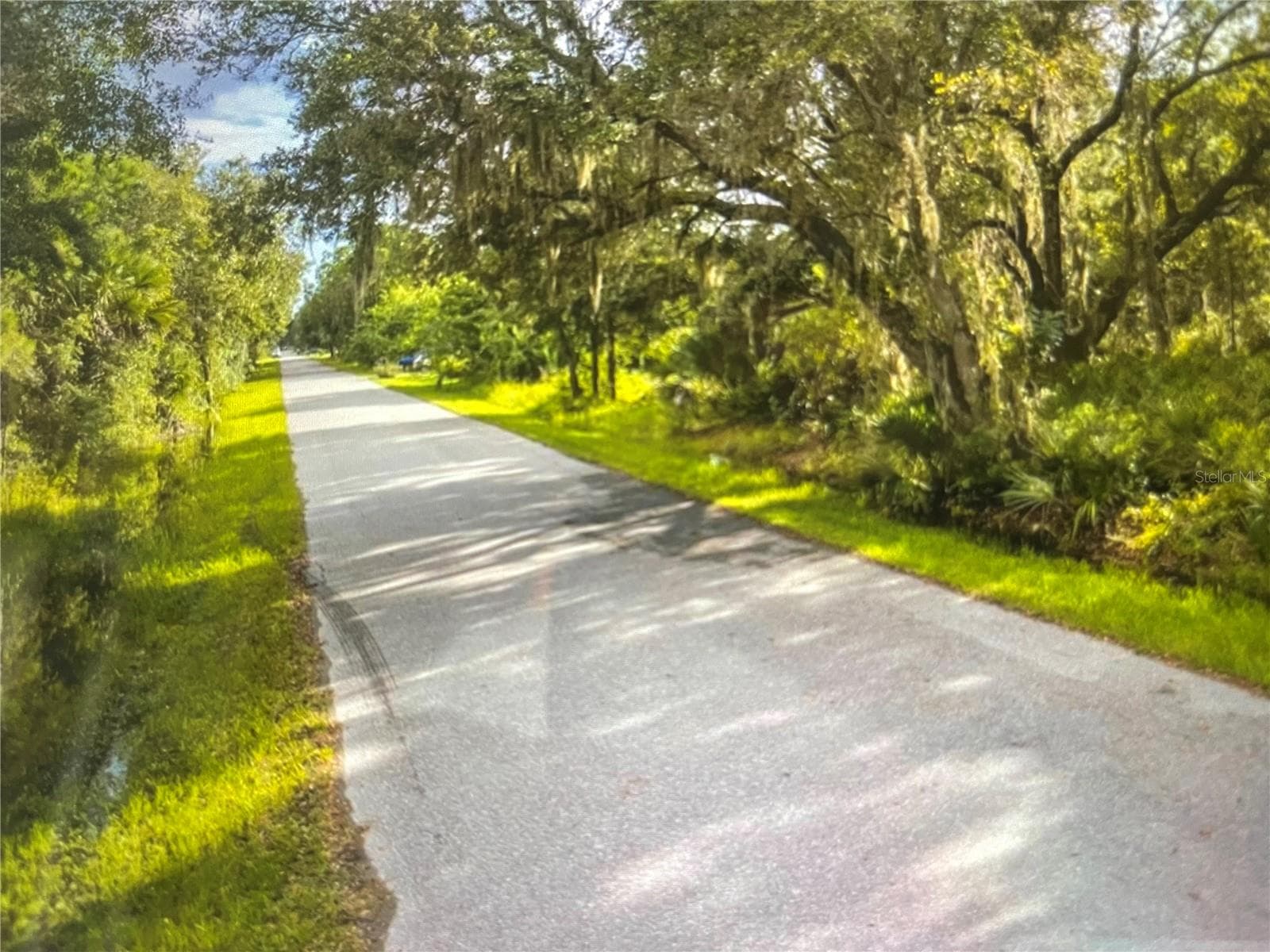 Land at 3225 DOUGLAS RD, PORT CHARLOTTE, photo 2 of 5