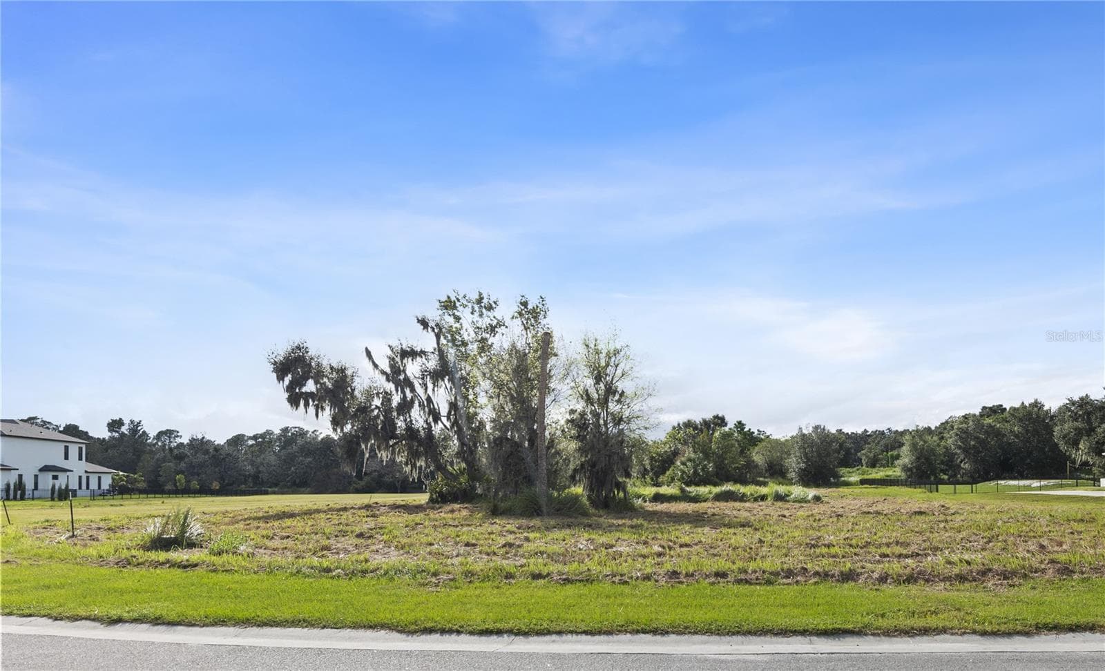 Gorgeous 1-acre lot ready for your DREAM HOME! - 15323 FISHHAWK HEIGHTS RUN, LITHIA