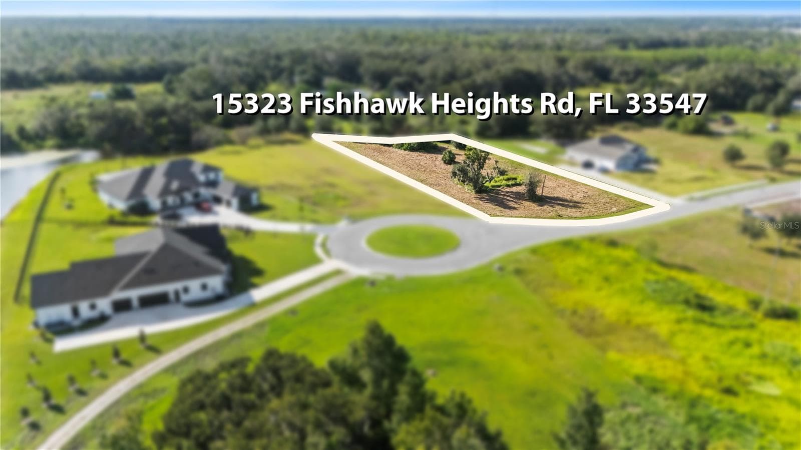 On the cul-de-sac - 15323 FISHHAWK HEIGHTS RUN, LITHIA