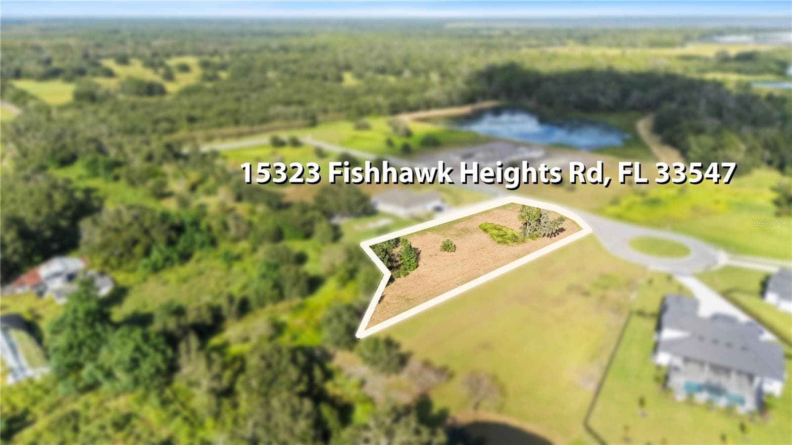Surrounded by nature preserve - 15323 FISHHAWK HEIGHTS RUN, LITHIA