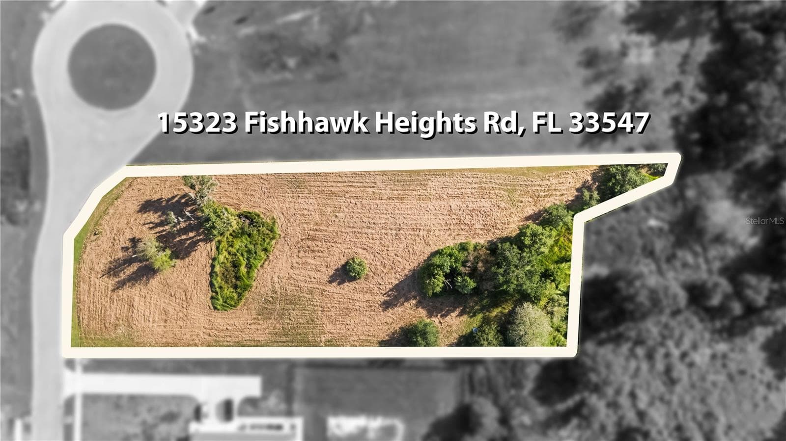 Backs up to nature - 15323 FISHHAWK HEIGHTS RUN, LITHIA