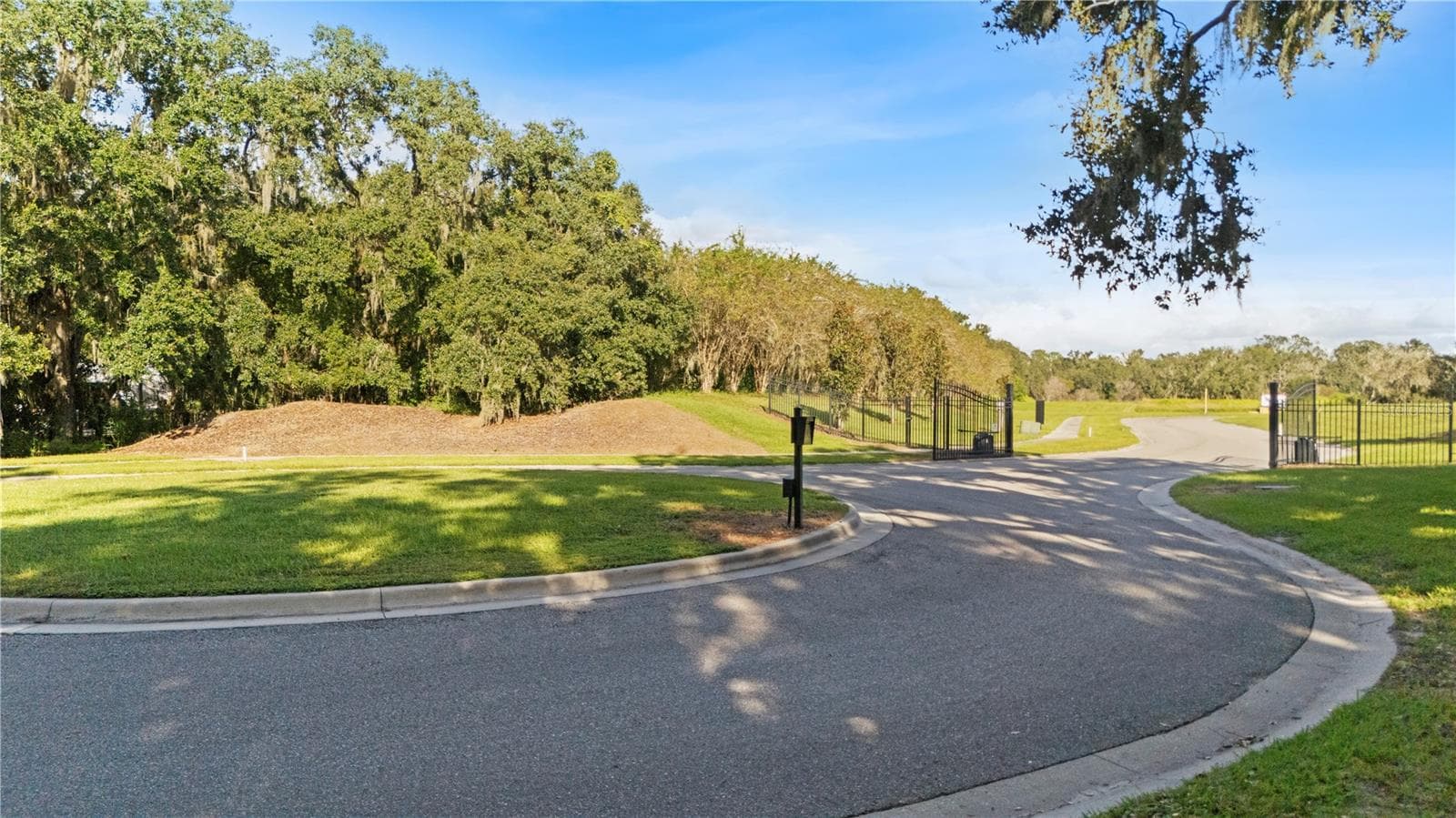 Welcome home! - 15323 FISHHAWK HEIGHTS RUN, LITHIA
