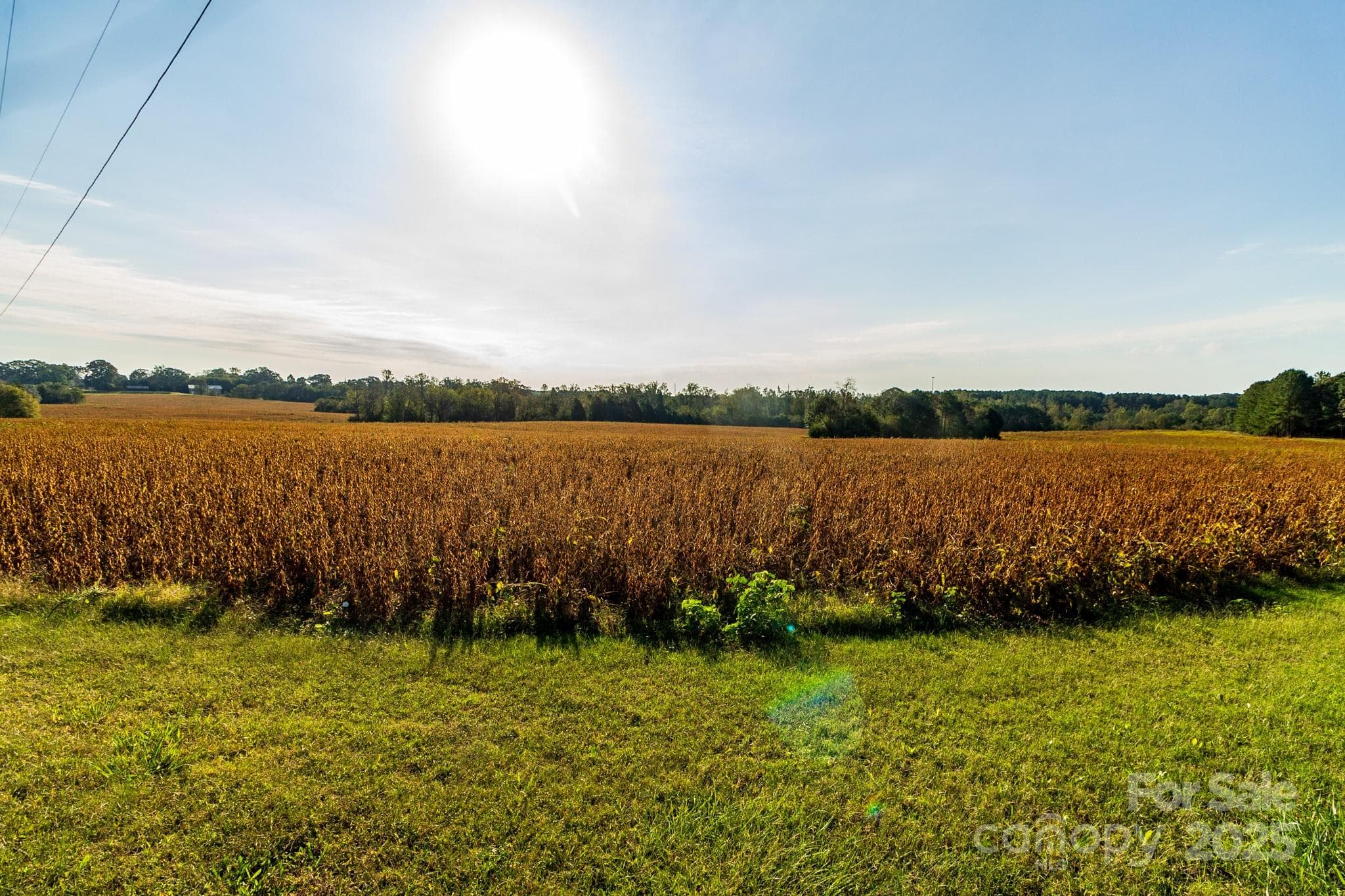 Acreage at 00 Lattimore Road, Shelby, photo 3 of 22