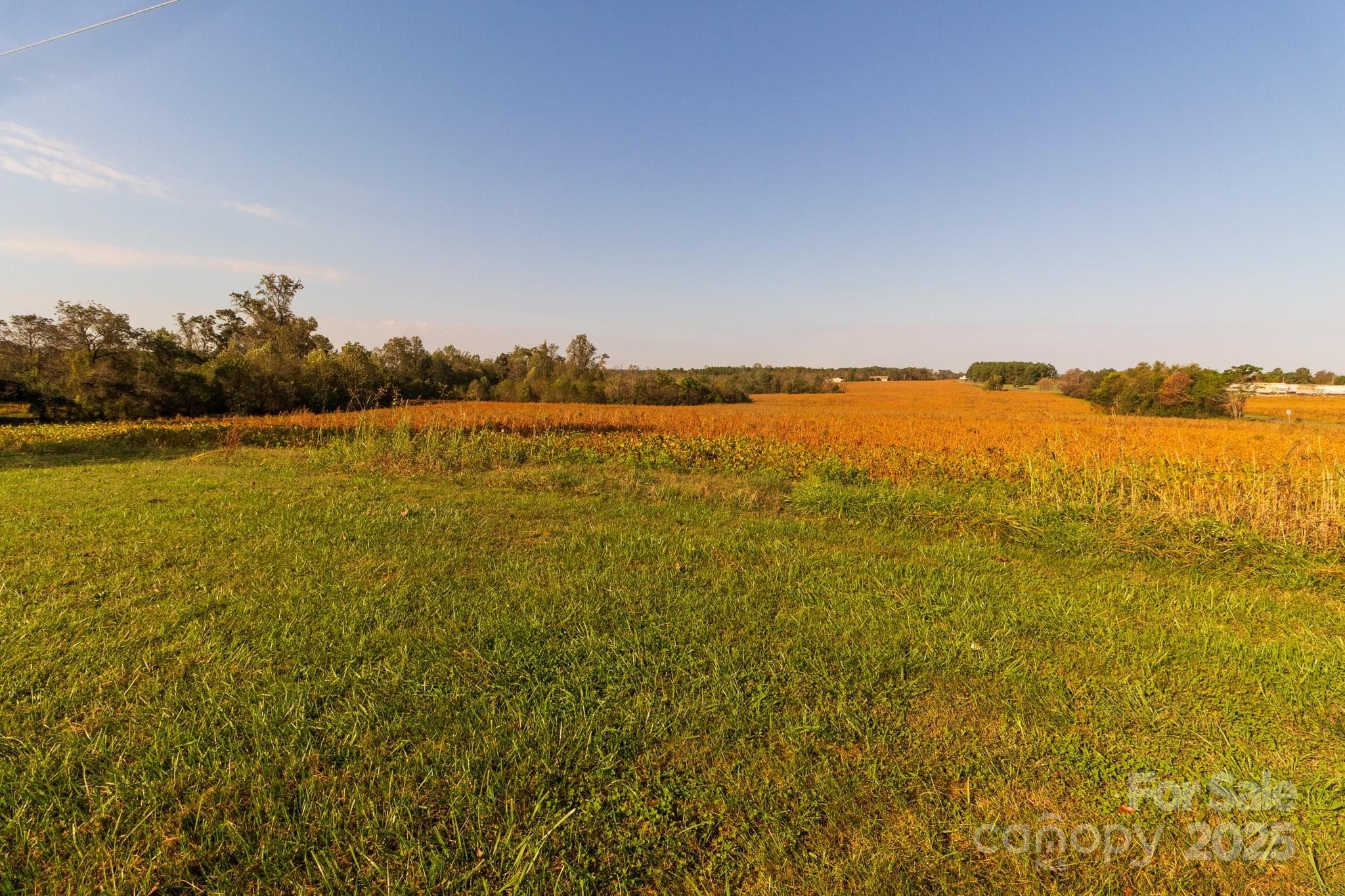 Acreage at 00 Lattimore Road, Shelby, photo 13 of 22